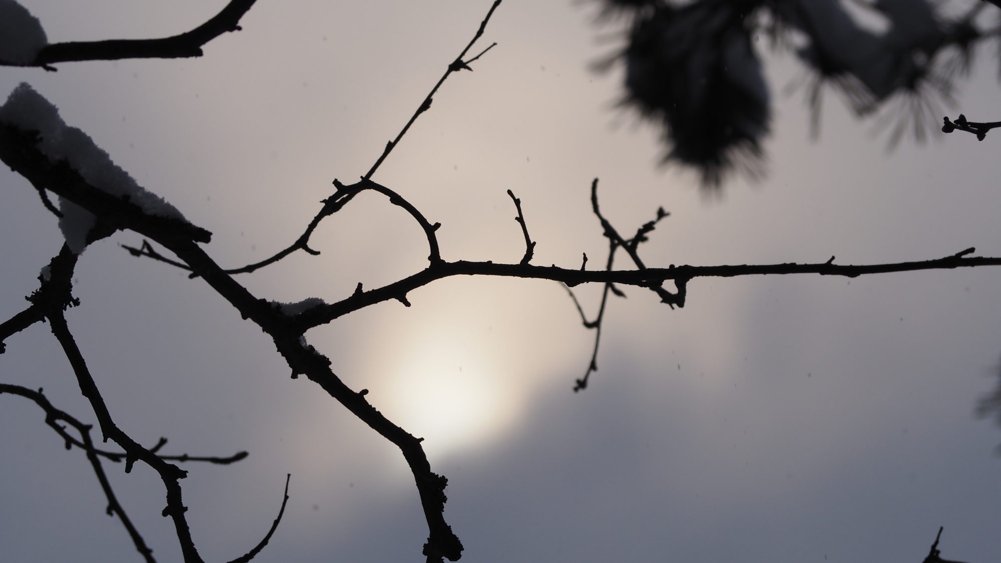 Valokuvaaja: Arja Valtonen