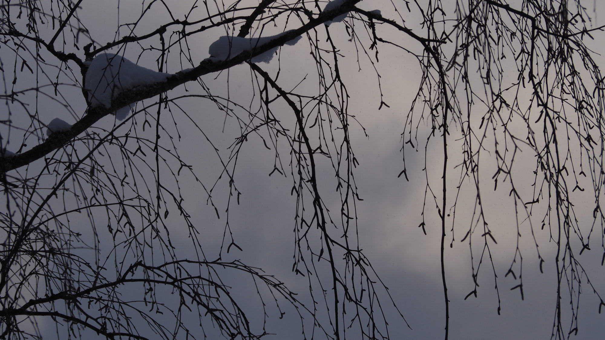 Valokuvaaja: Arja Valtonen