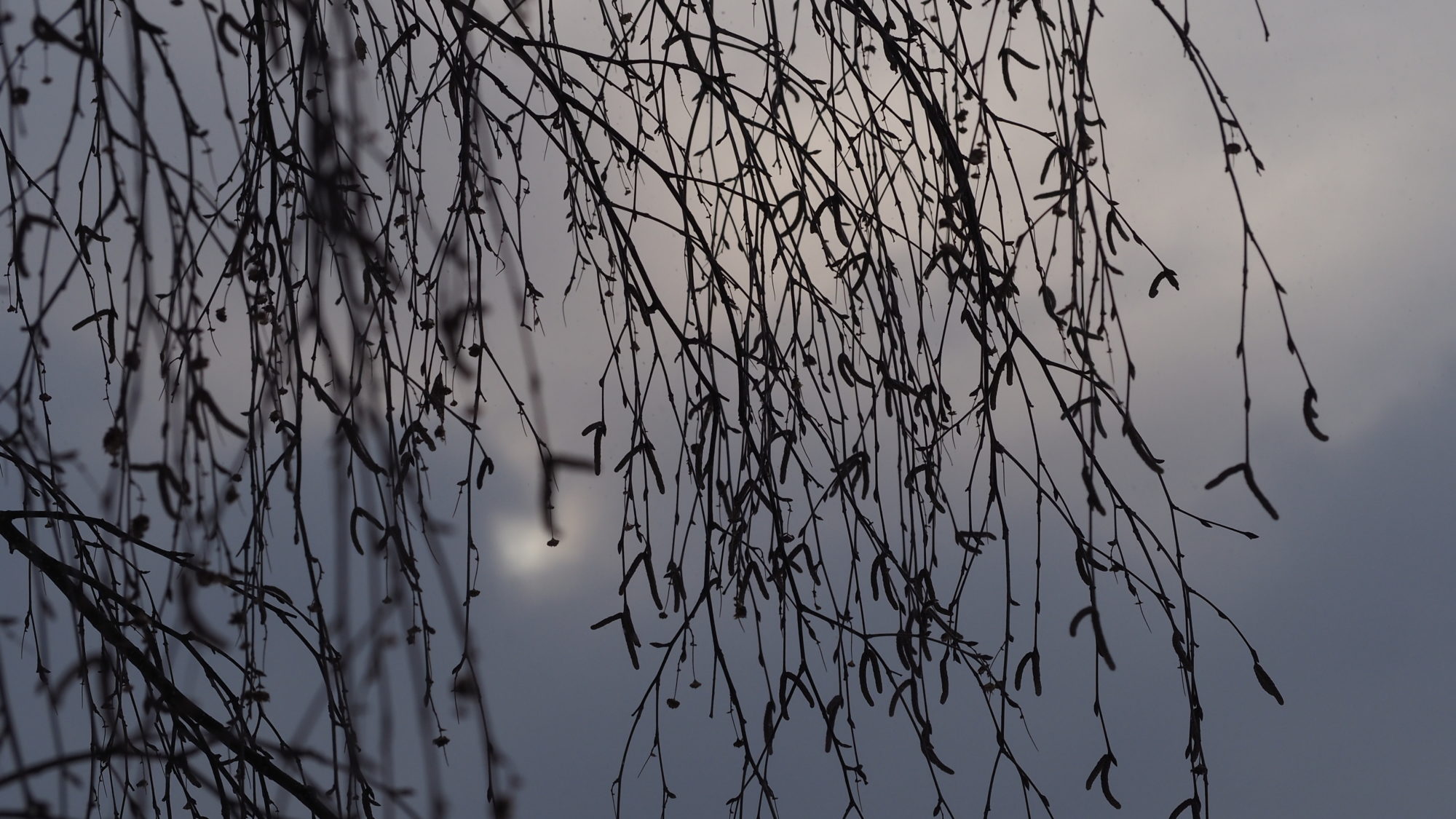 Valokuvaaja: Arja Valtonen