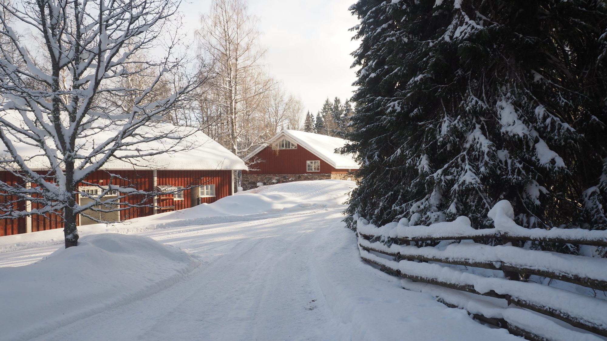 Valokuvaaja: Arja Valtonen Valokuvaaja: Arja Valtonen