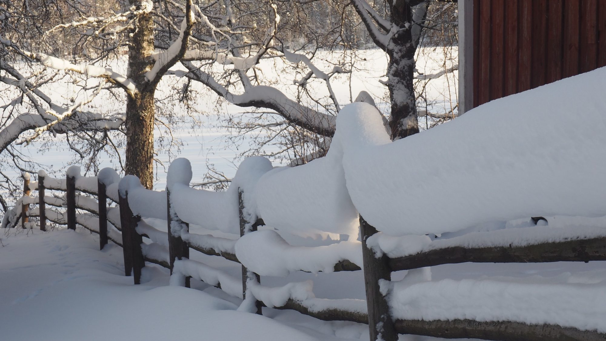 Valokuvaaja: Arja Valtonen