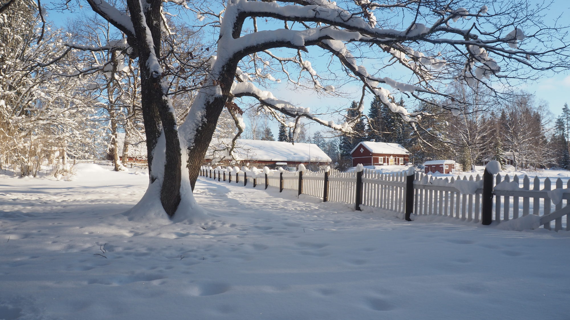 Valokuvaaja: Arja Valtonen