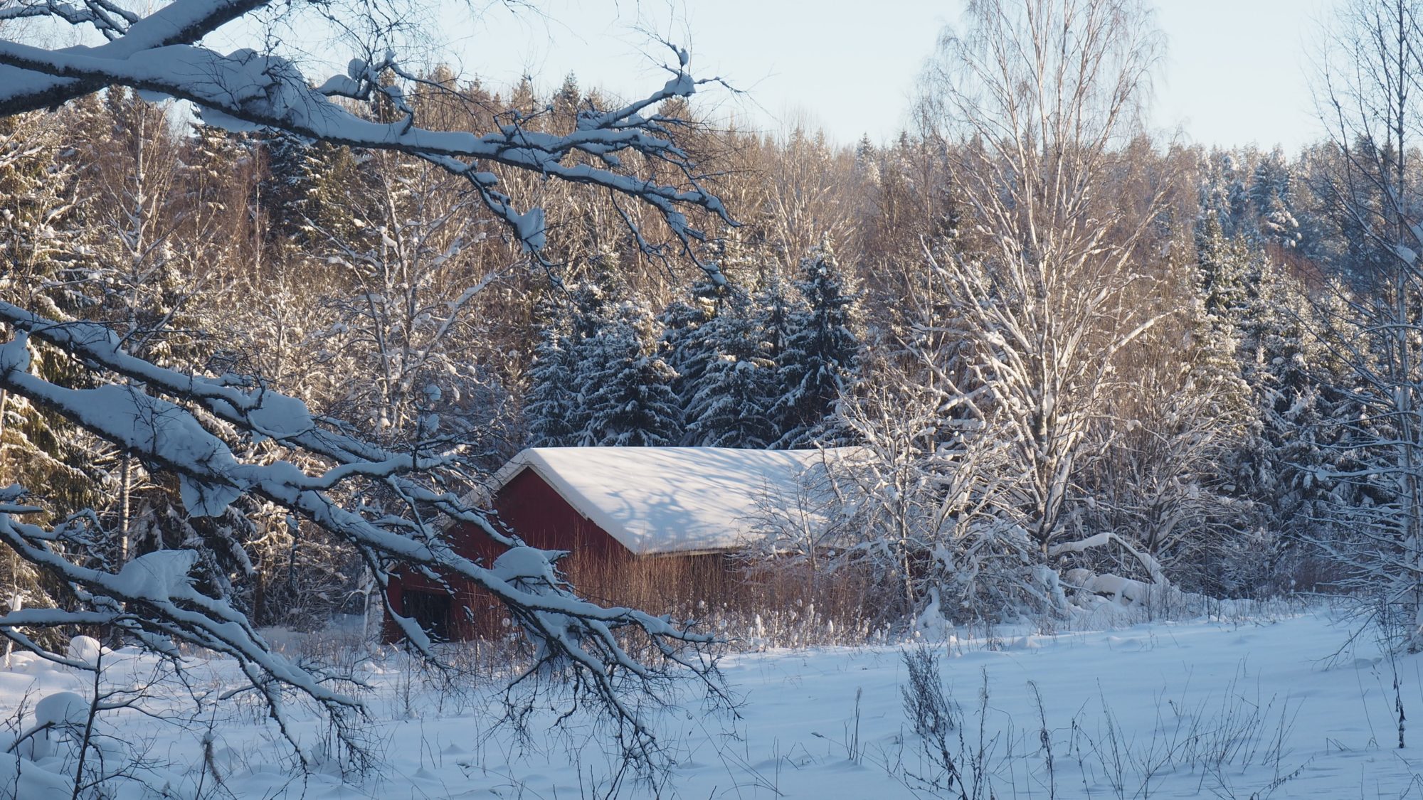 Valokuvaaja: Arja Valtonen