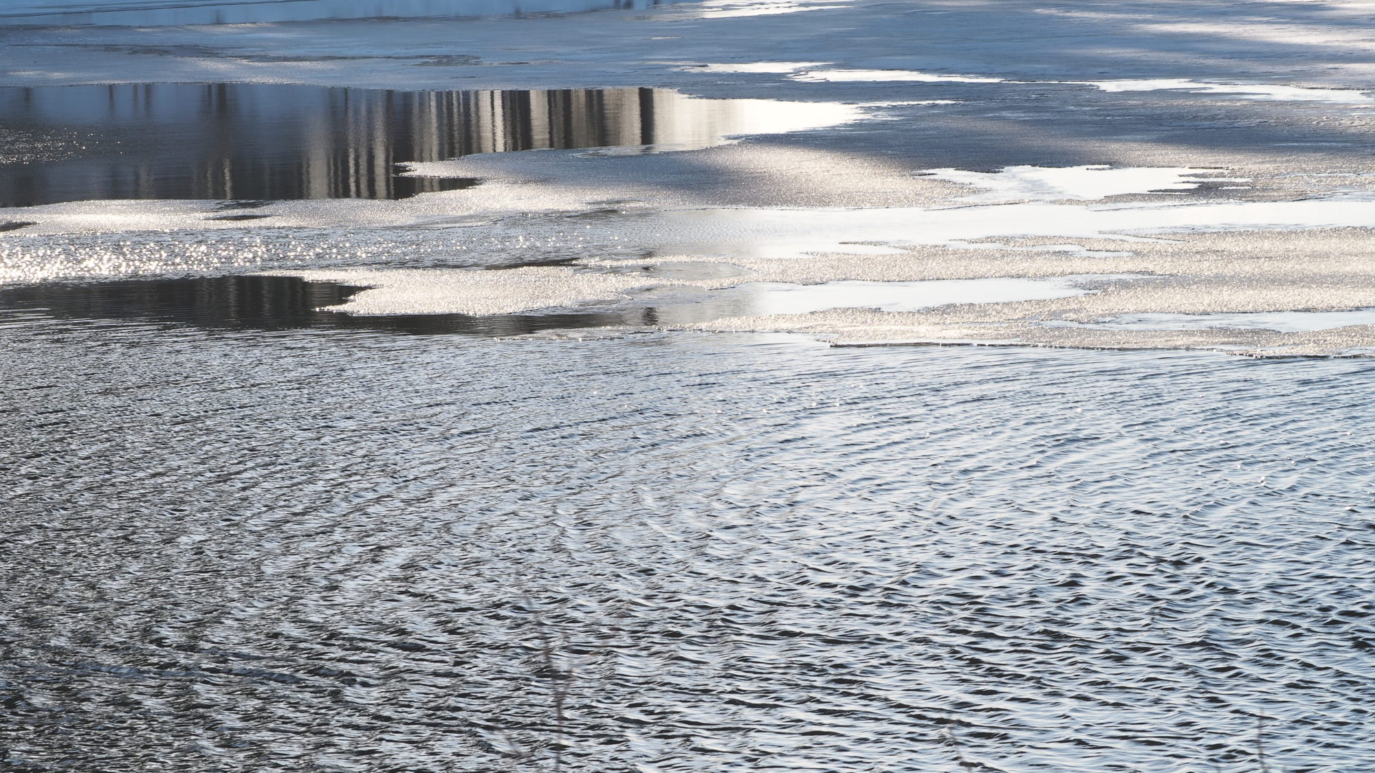 Valokuvaaja: Arja Valtonen