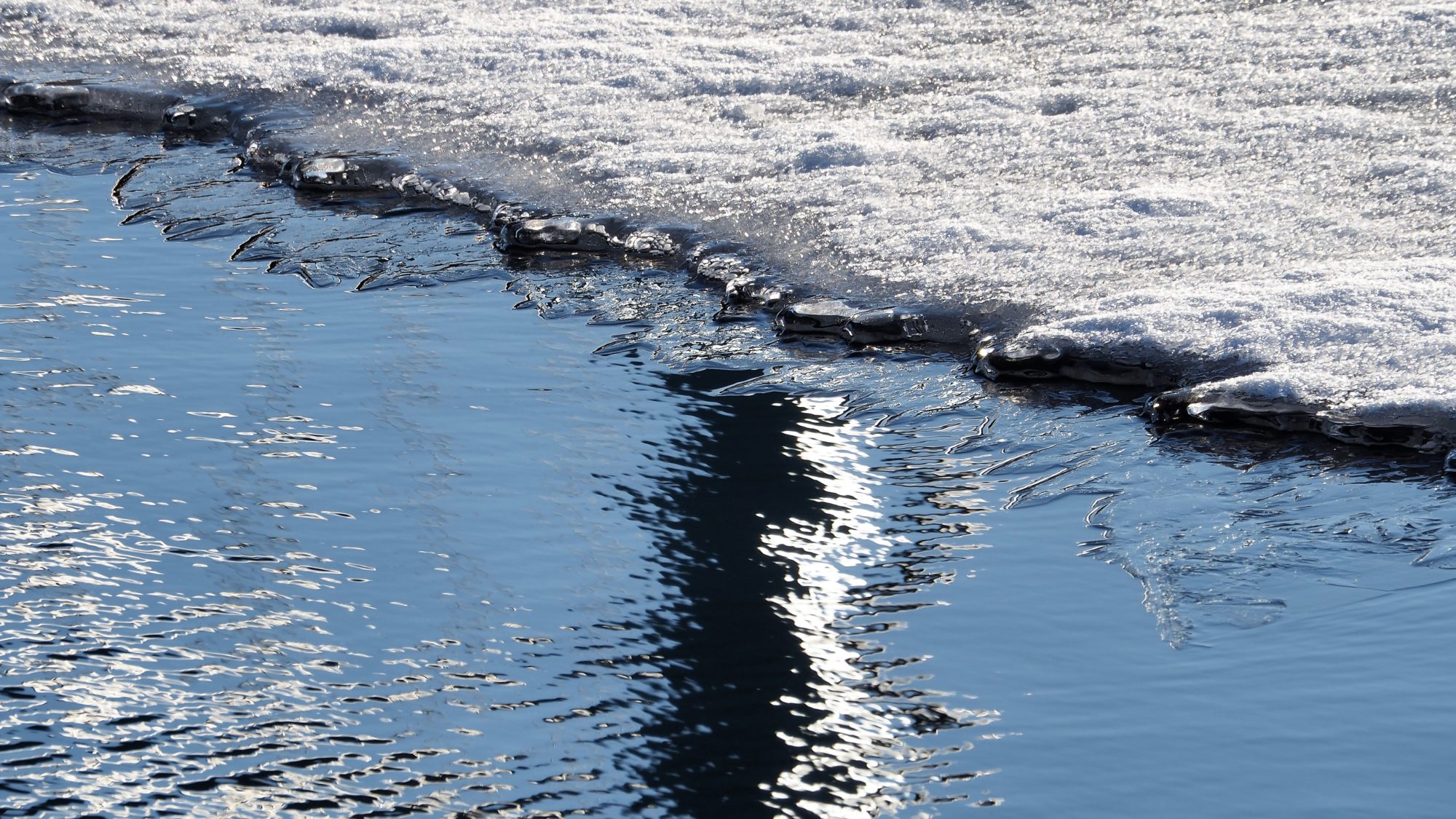 Valokuvaaja: Arja Valtonen