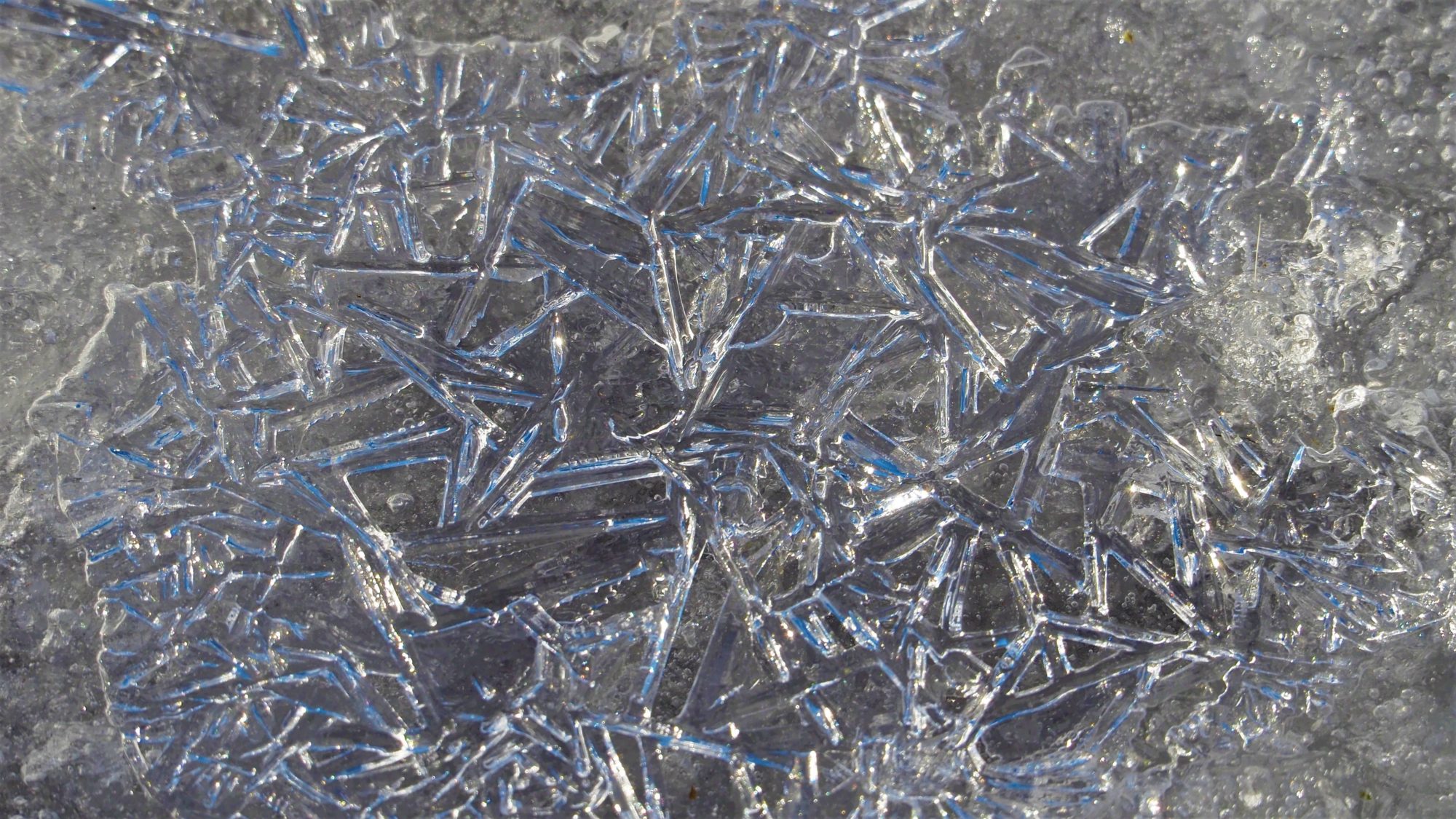 Valokuvaaja: Arja Valtonen