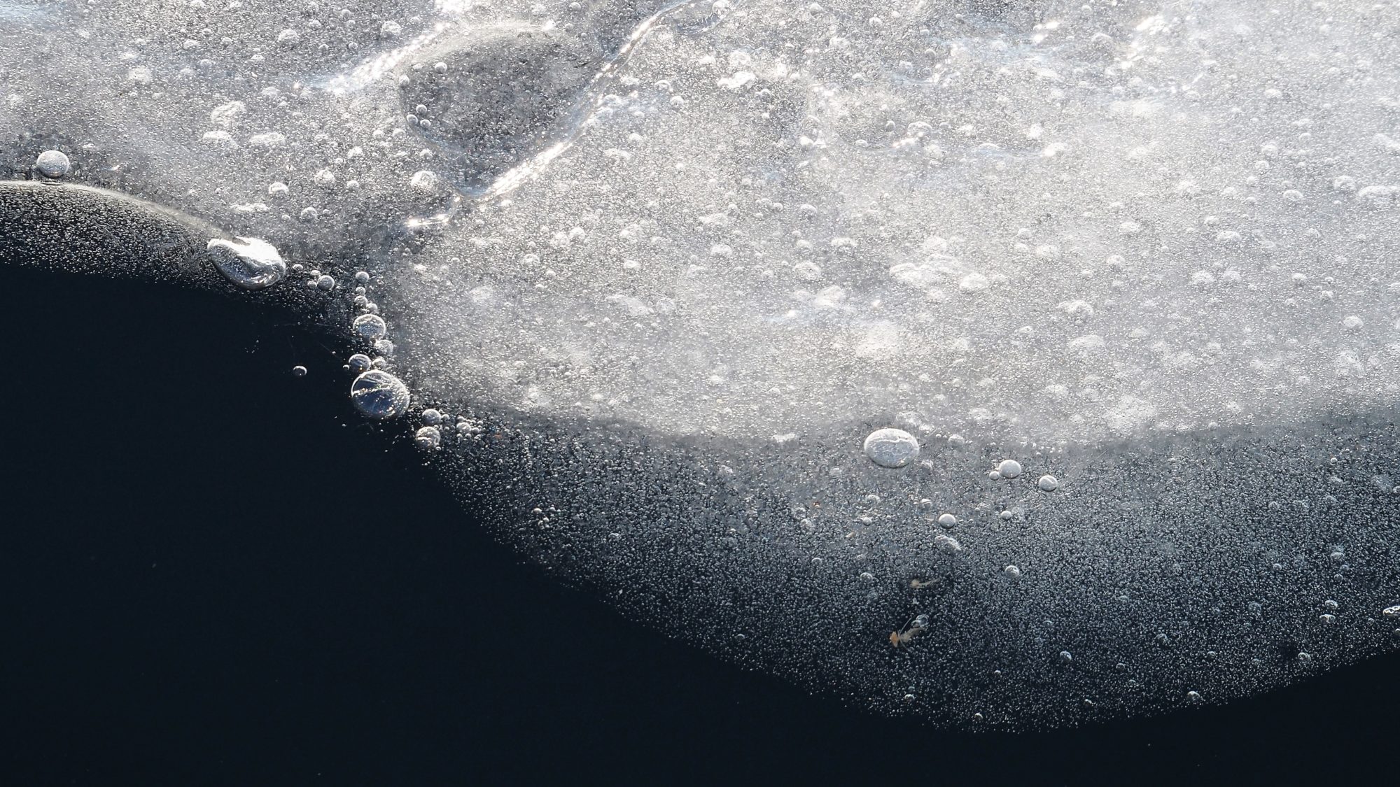 Valokuvaaja: Arja Valtonen Valokuvaaja: Arja Valtonen