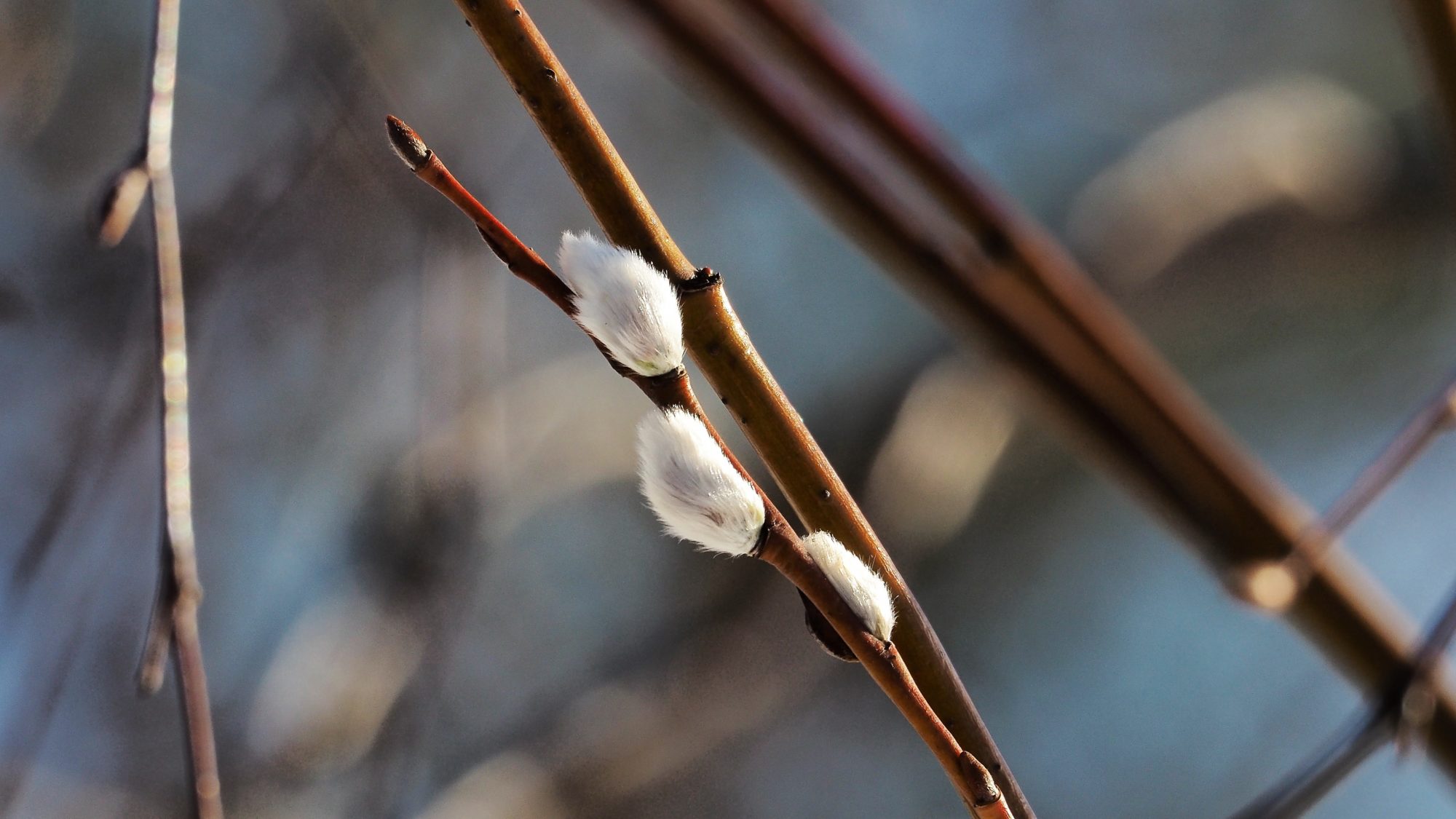 Valokuvaaja: Arja Valtonen