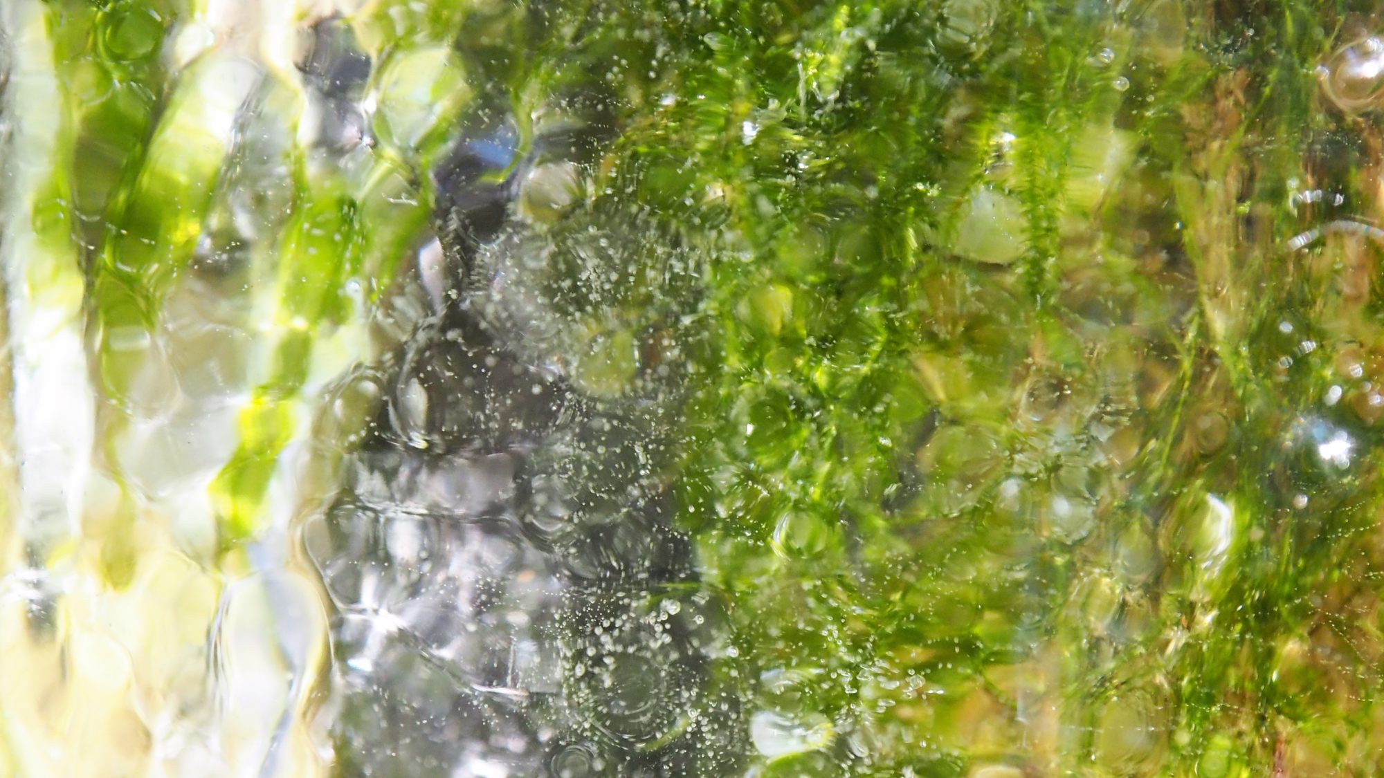 Valokuvaaja: Arja Valtonen Valokuvaaja: Arja Valtonen