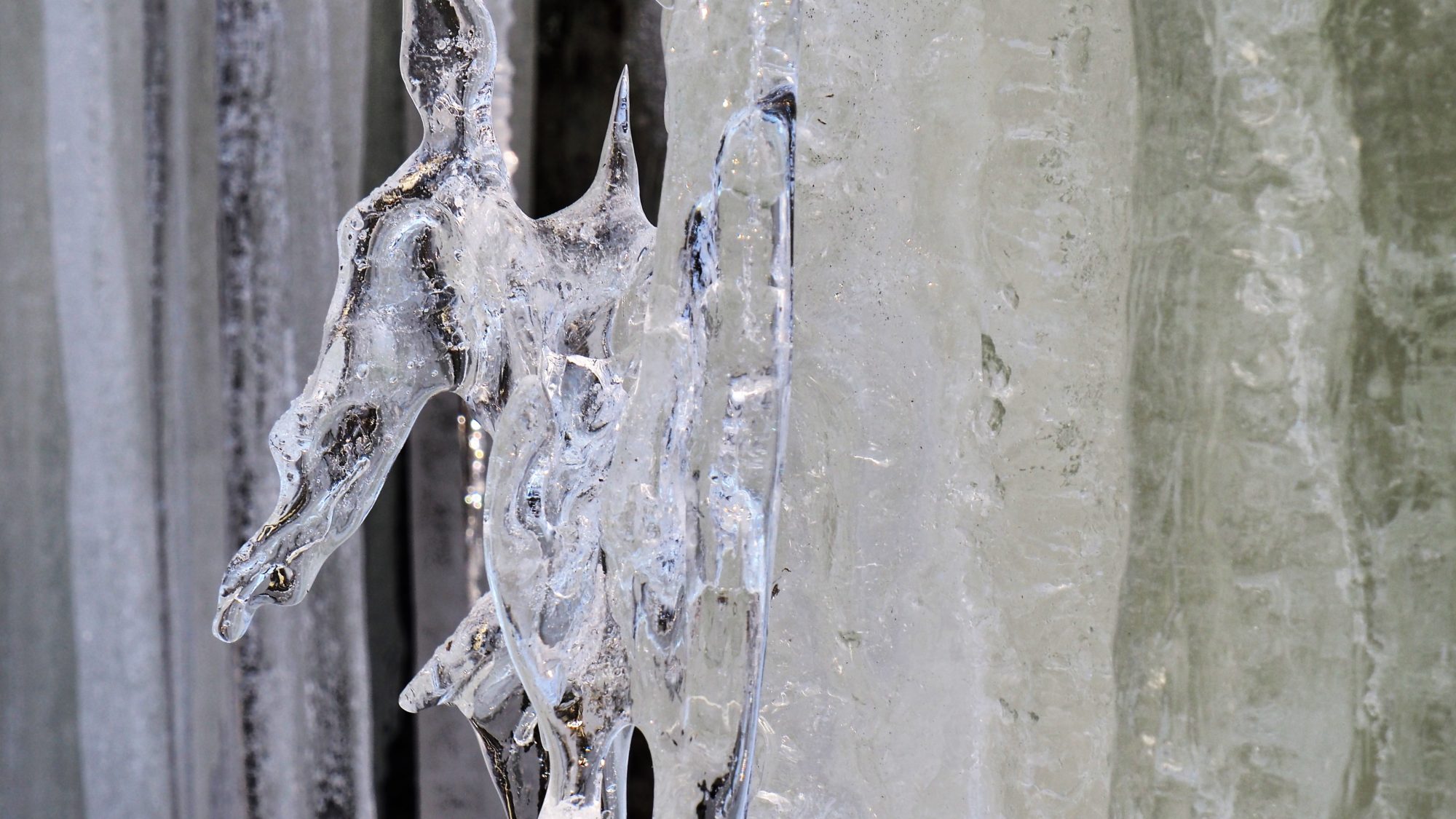 Valokuvaaja: Arja Valtonen