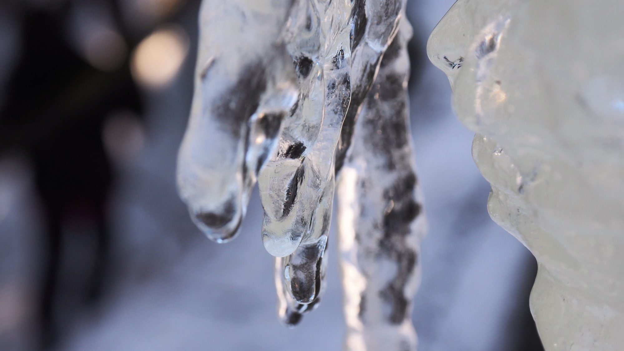 Valokuvaaja: Arja Valtonen