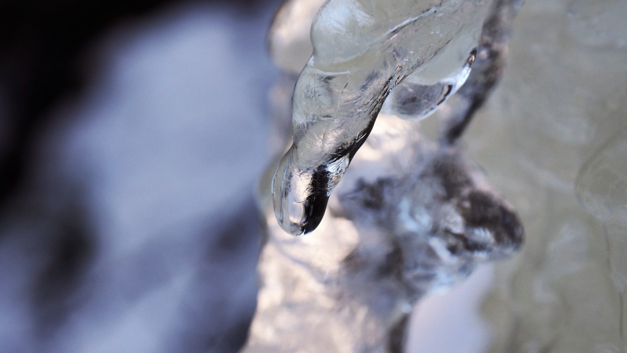 Valokuvaaja: Arja Valtonen