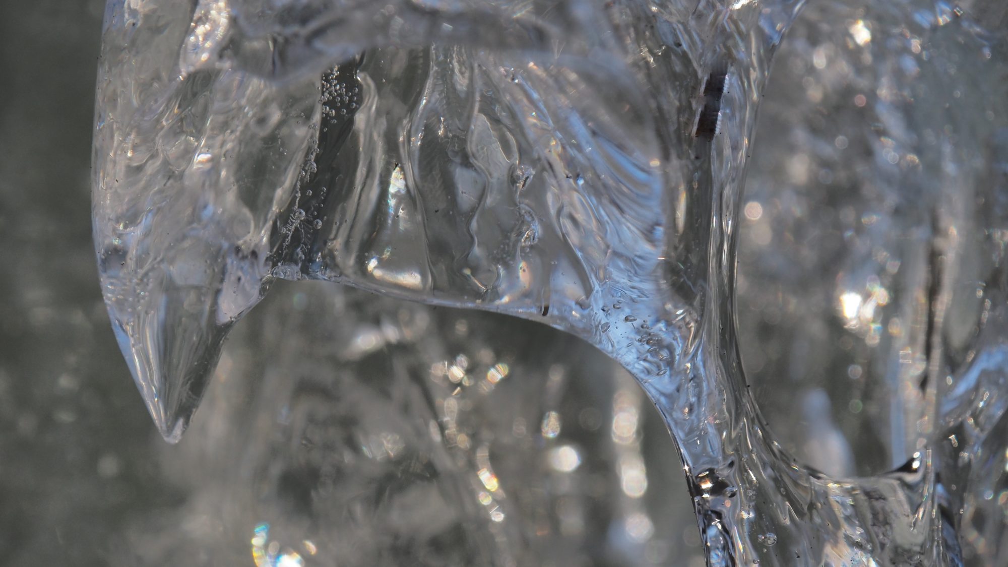 Valokuvaaja: Arja Valtonen