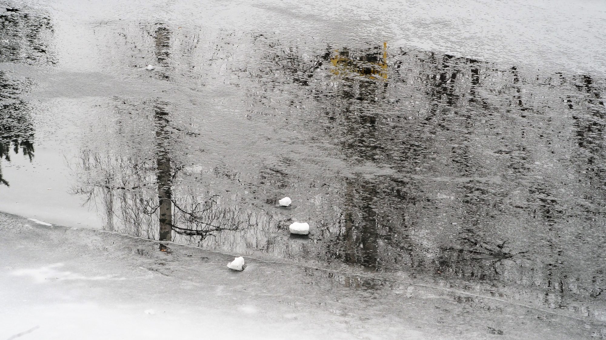 Valokuvaaja: Arja Valtonen Valokuvaaja: Arja Valtonen