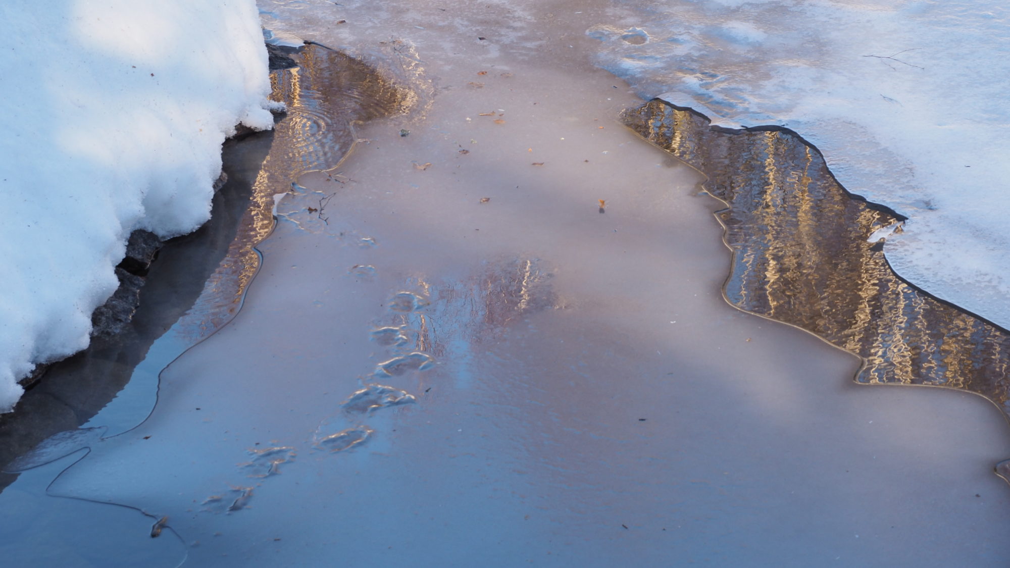 Valokuvaaja: Arja Valtonen