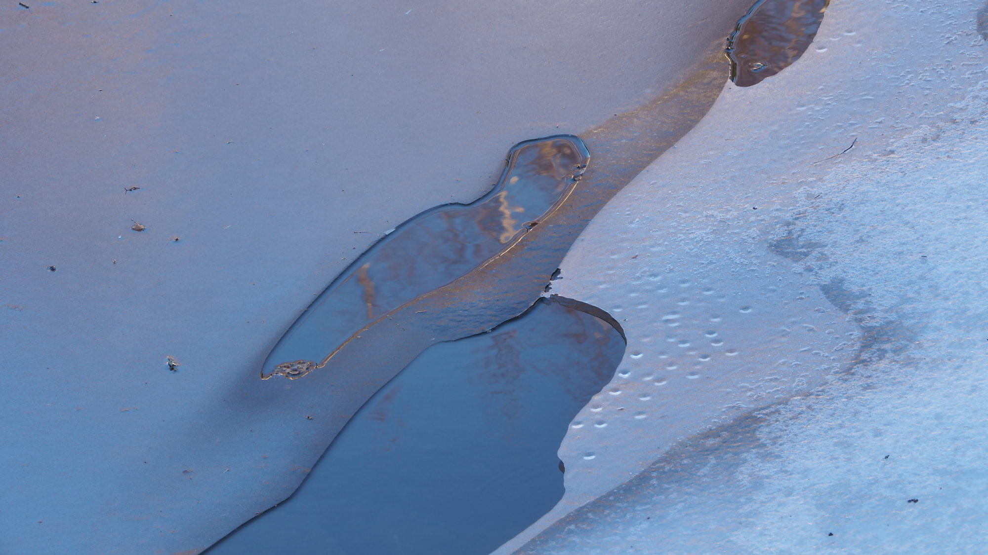 Valokuvaaja: Arja Valtonen