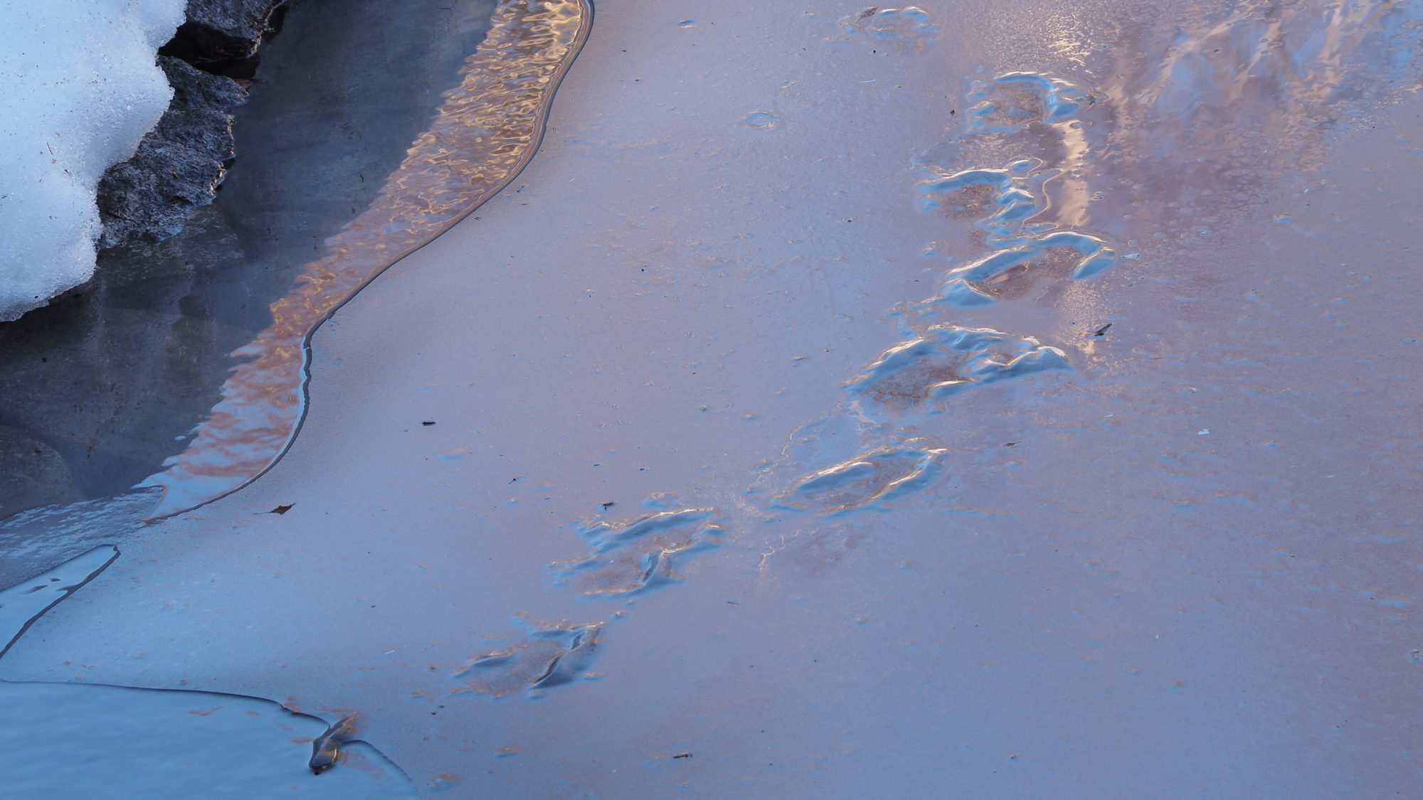 Valokuvaaja: Arja Valtonen