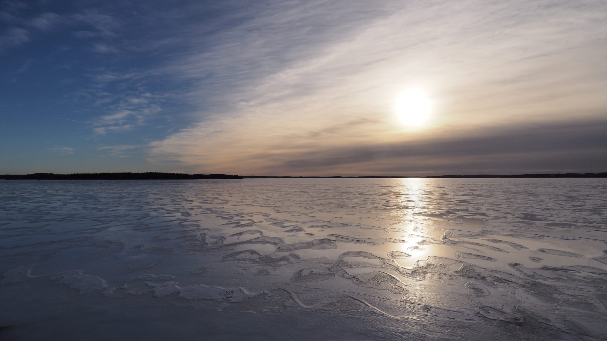 Valokuvaaja: Arja Valtonen Valokuvaaja: Arja Valtonen