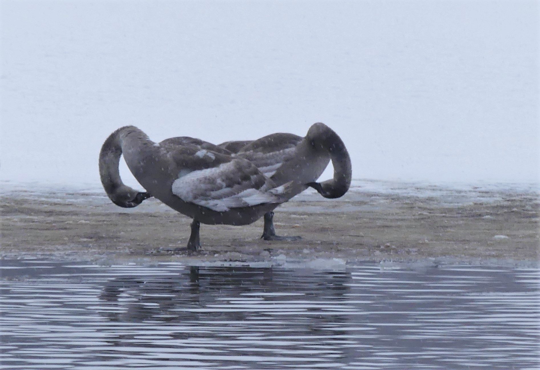 Valokuvaaja: Martti Valtonen