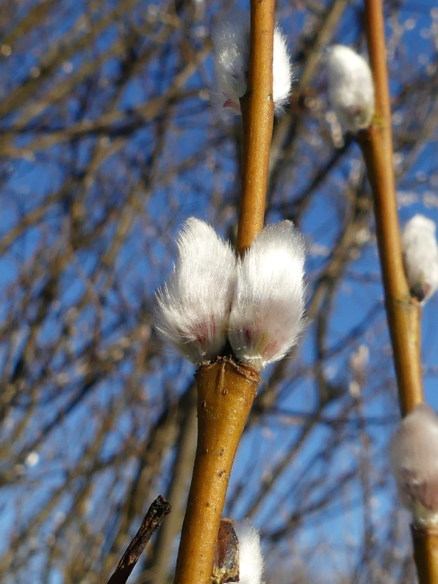 Valokuvaaja: Martti Valtonen