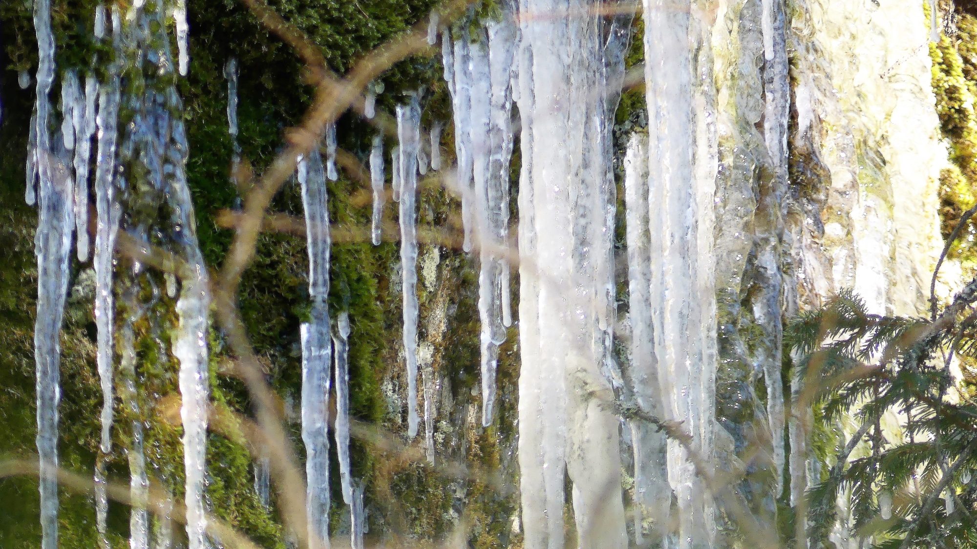 Valokuvaaja: Martti Valtonen