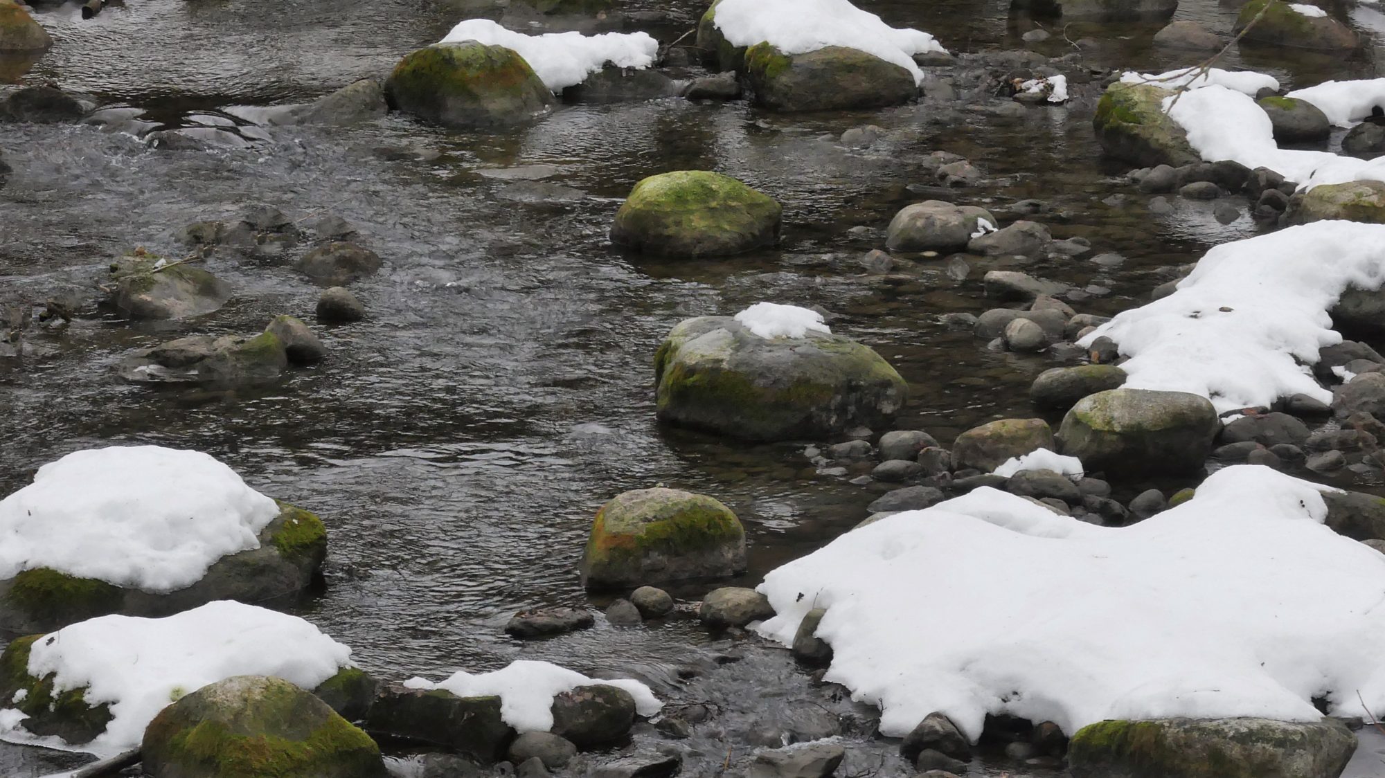 Valokuvaaja: Martti Valtonen