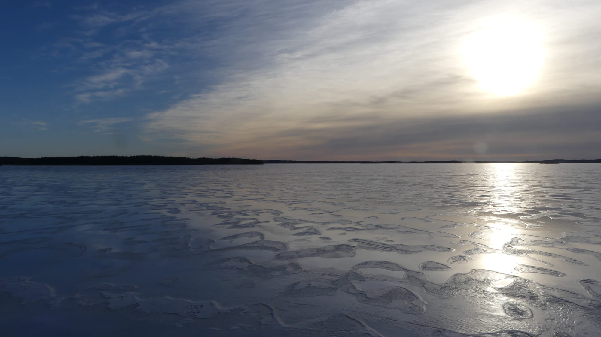 Valokuvaaja: Martti Valtonen