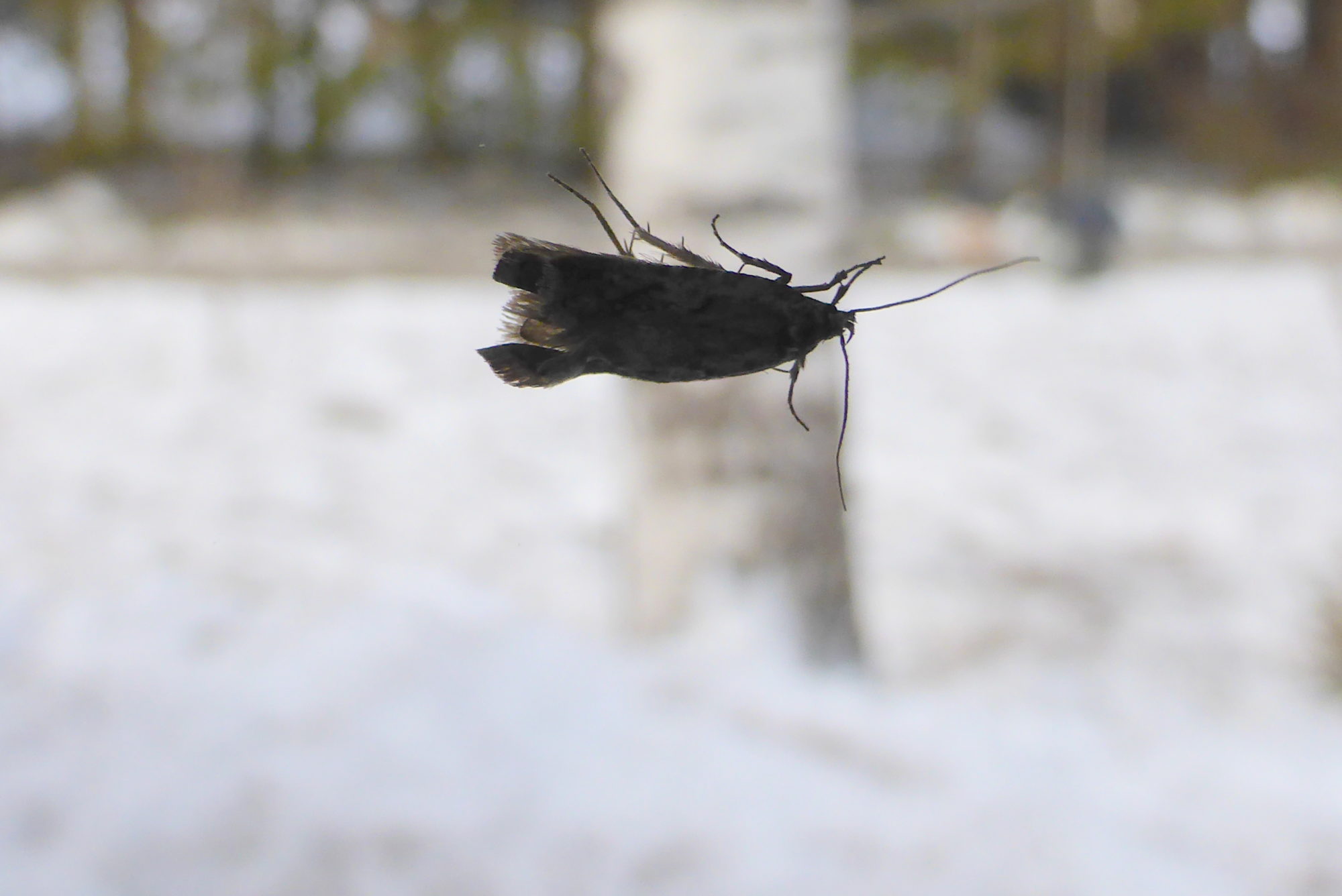 Valokuvaaja: Kaarlo Asikainen Valokuvaaja: Kaarlo Asikainen