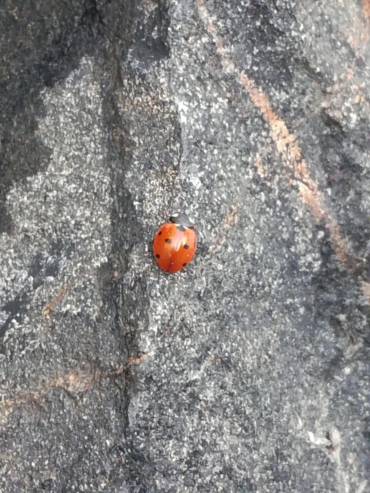 Valokuvaaja: Riku Rantanen