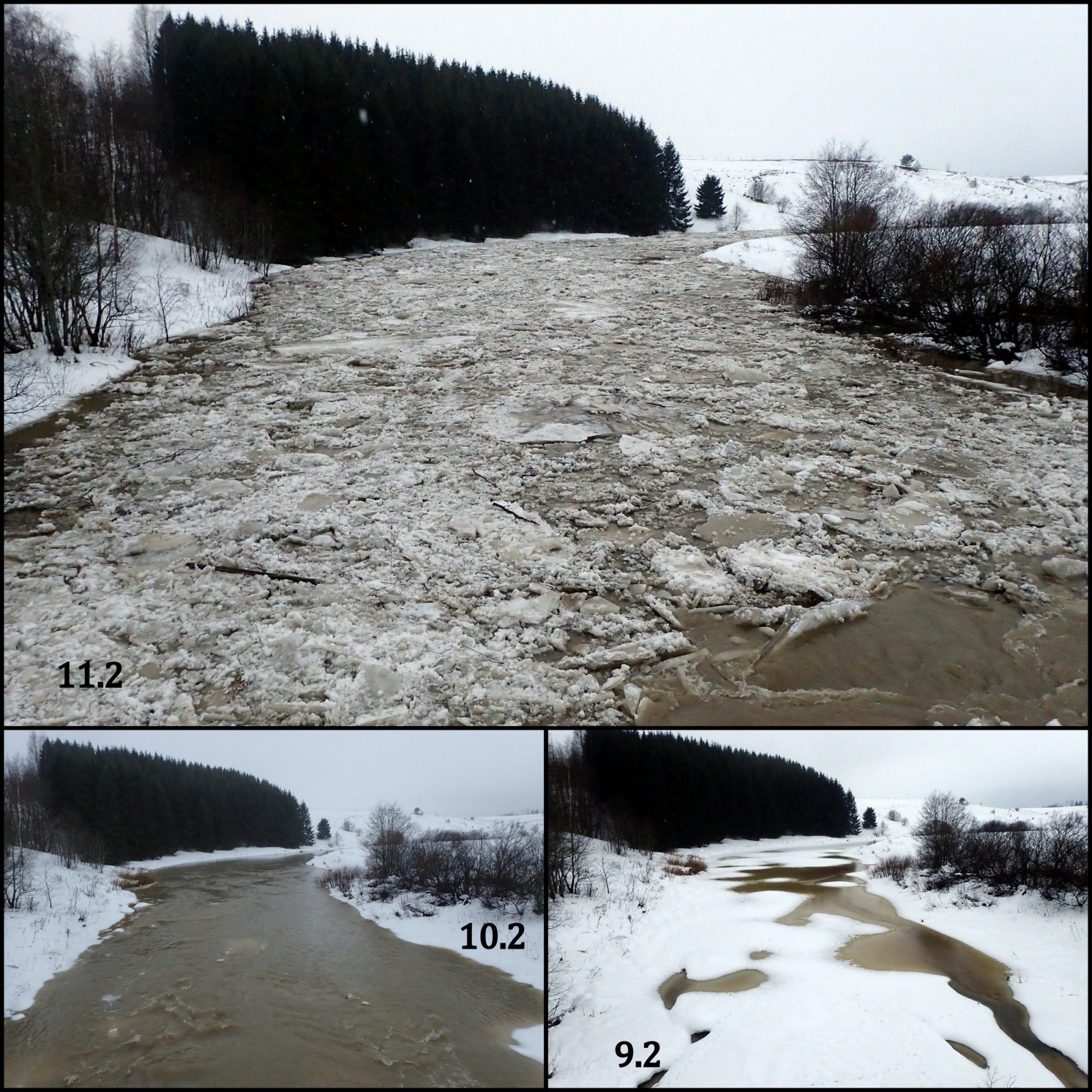 Valokuvaaja: Kari Aaltonen, Salo