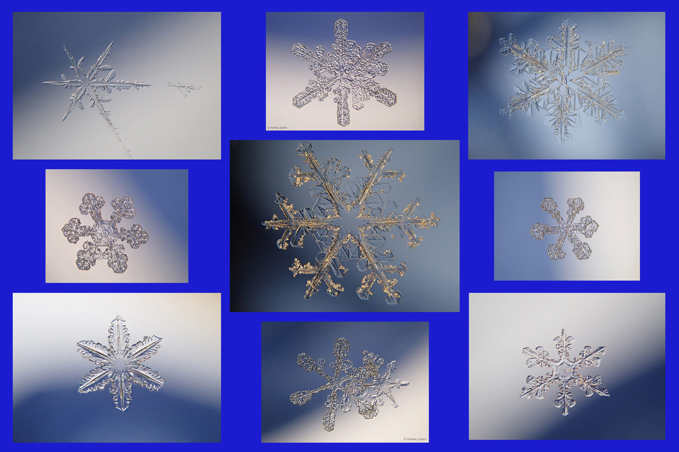 Valokuvaaja: Juhani Harkas