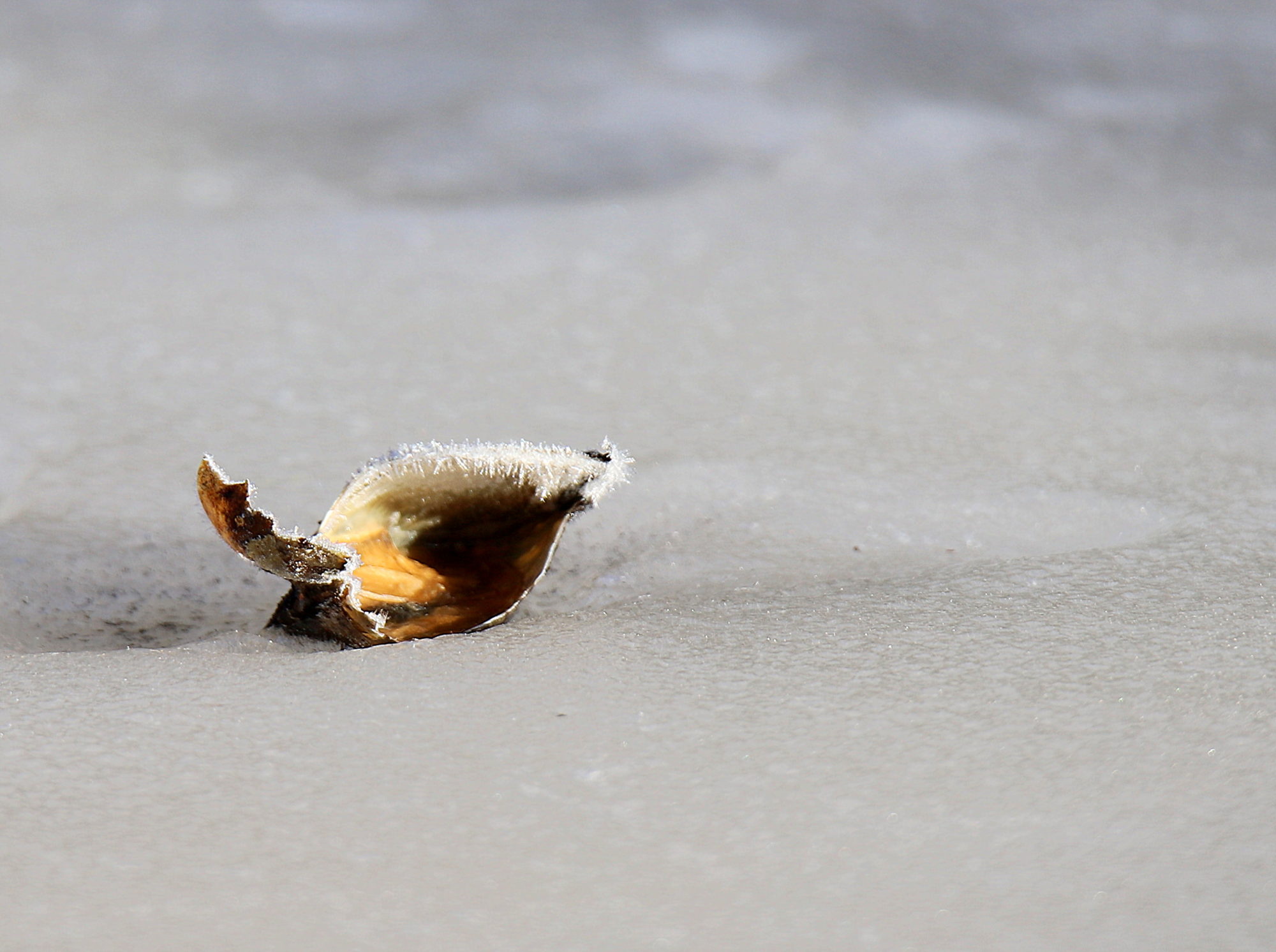 Valokuvaaja: sirpa jyske