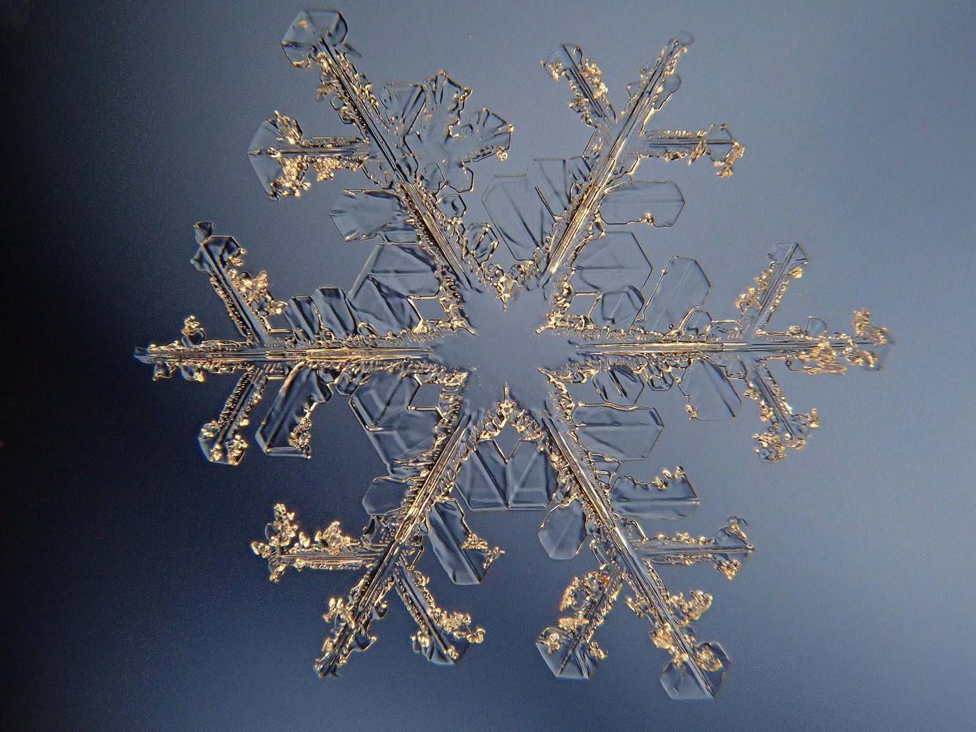 Valokuvaaja: Juhani Harkas