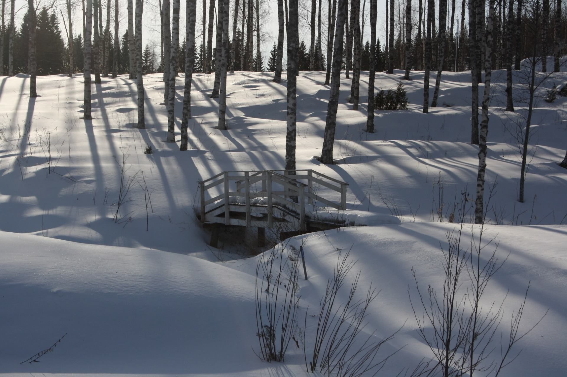 Valokuvaaja: sirpa jyske