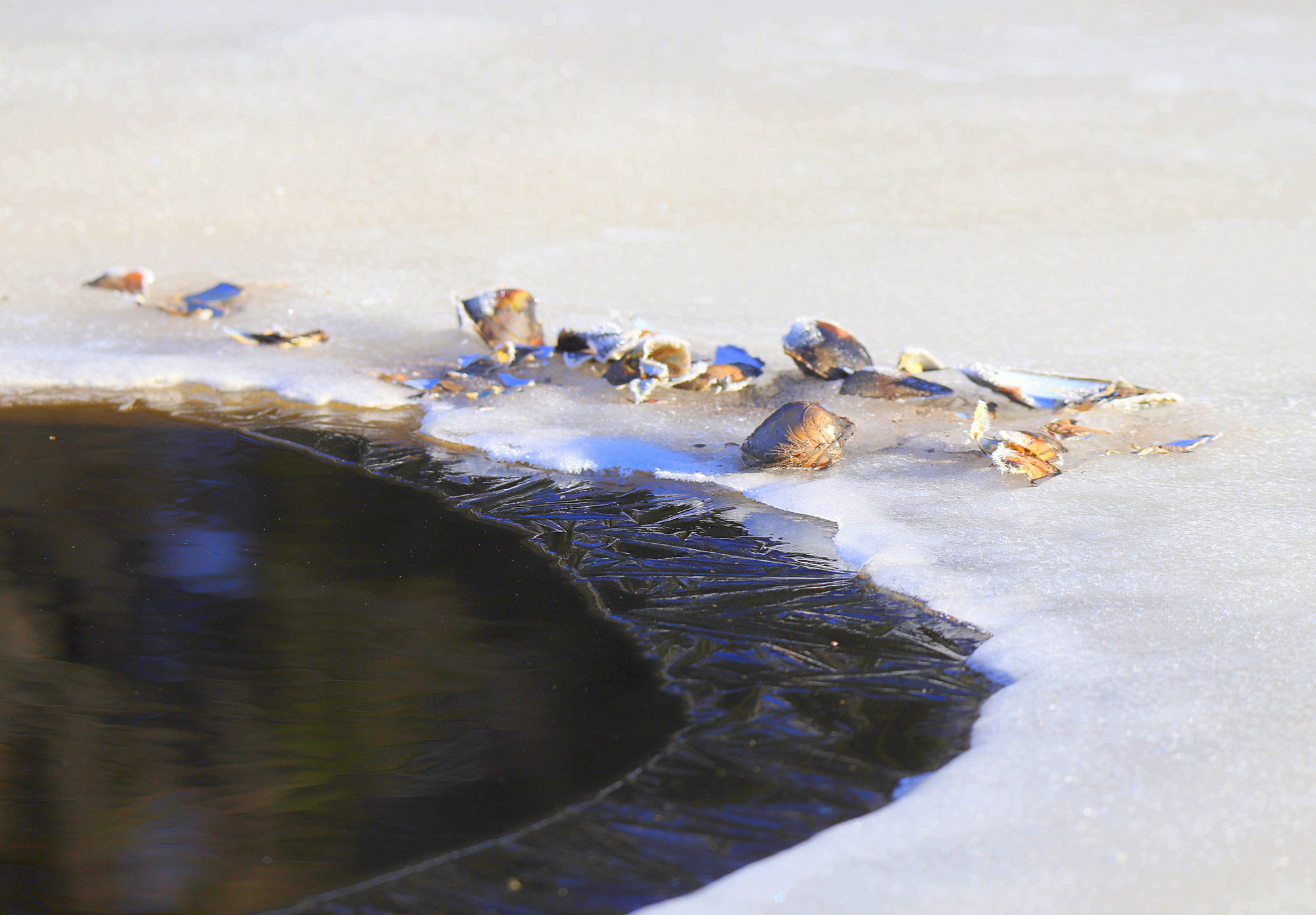 Valokuvaaja: sirpa jyske