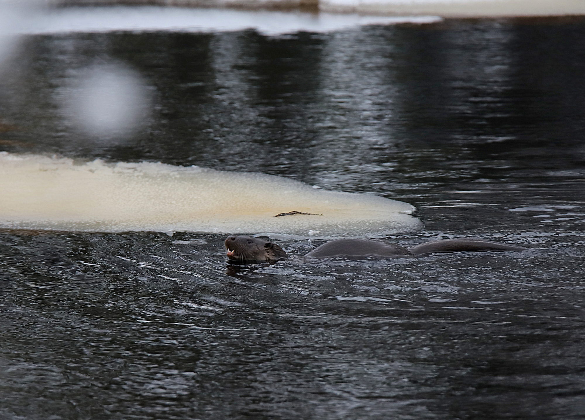 Valokuvaaja: sirpa jyske