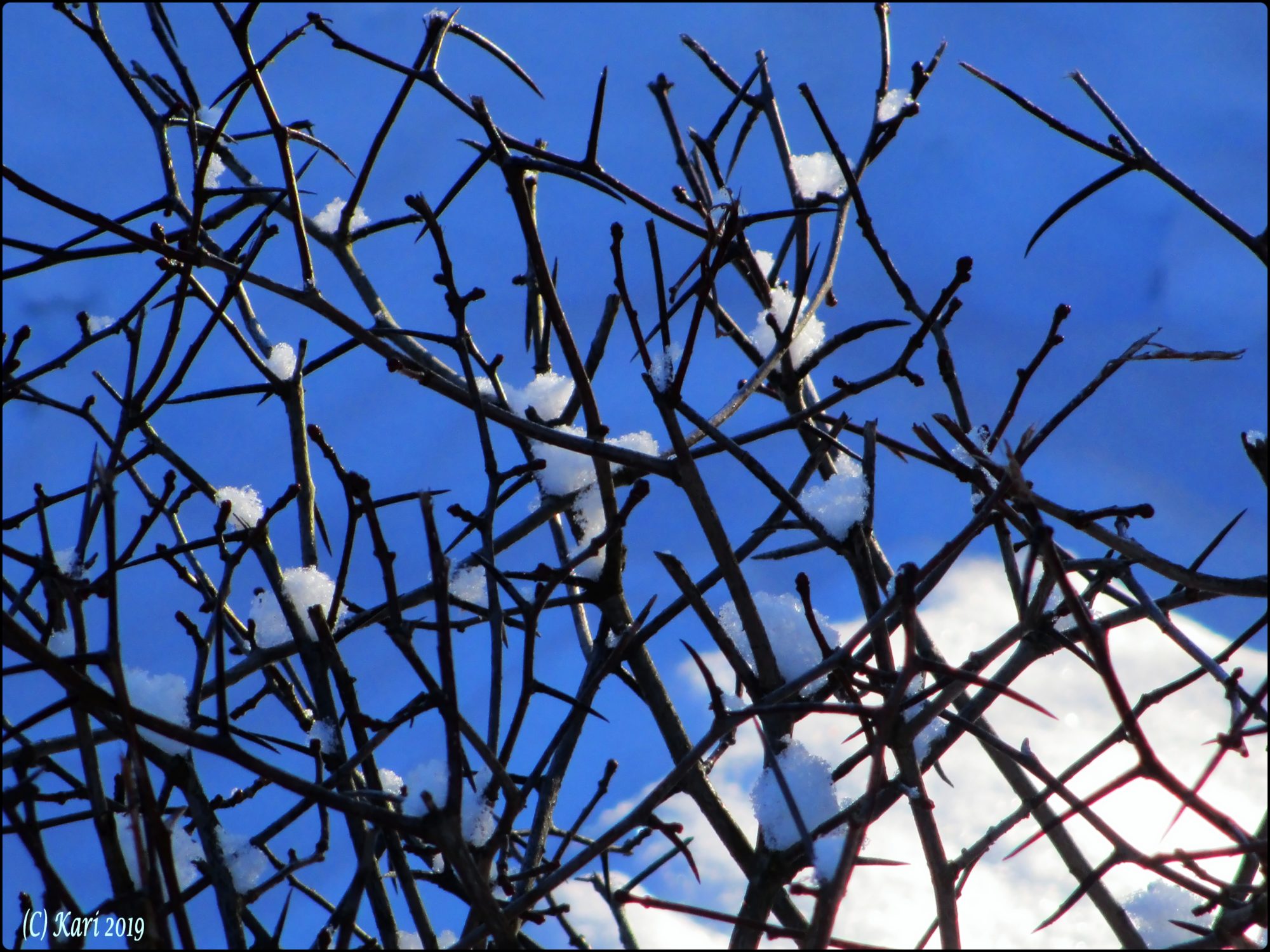 Valokuvaaja: Kari Saarinen