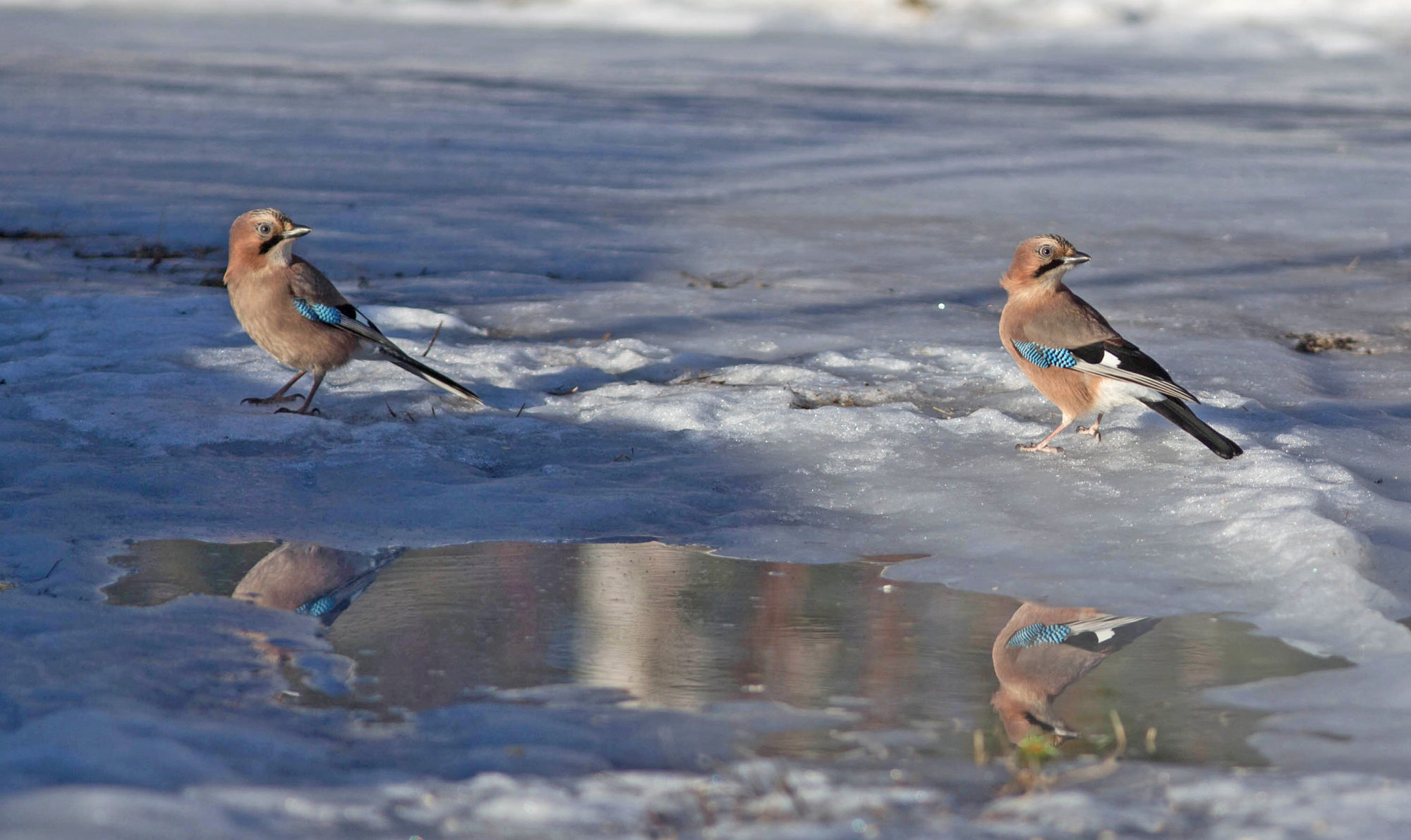Valokuvaaja: Irma Kortekallio