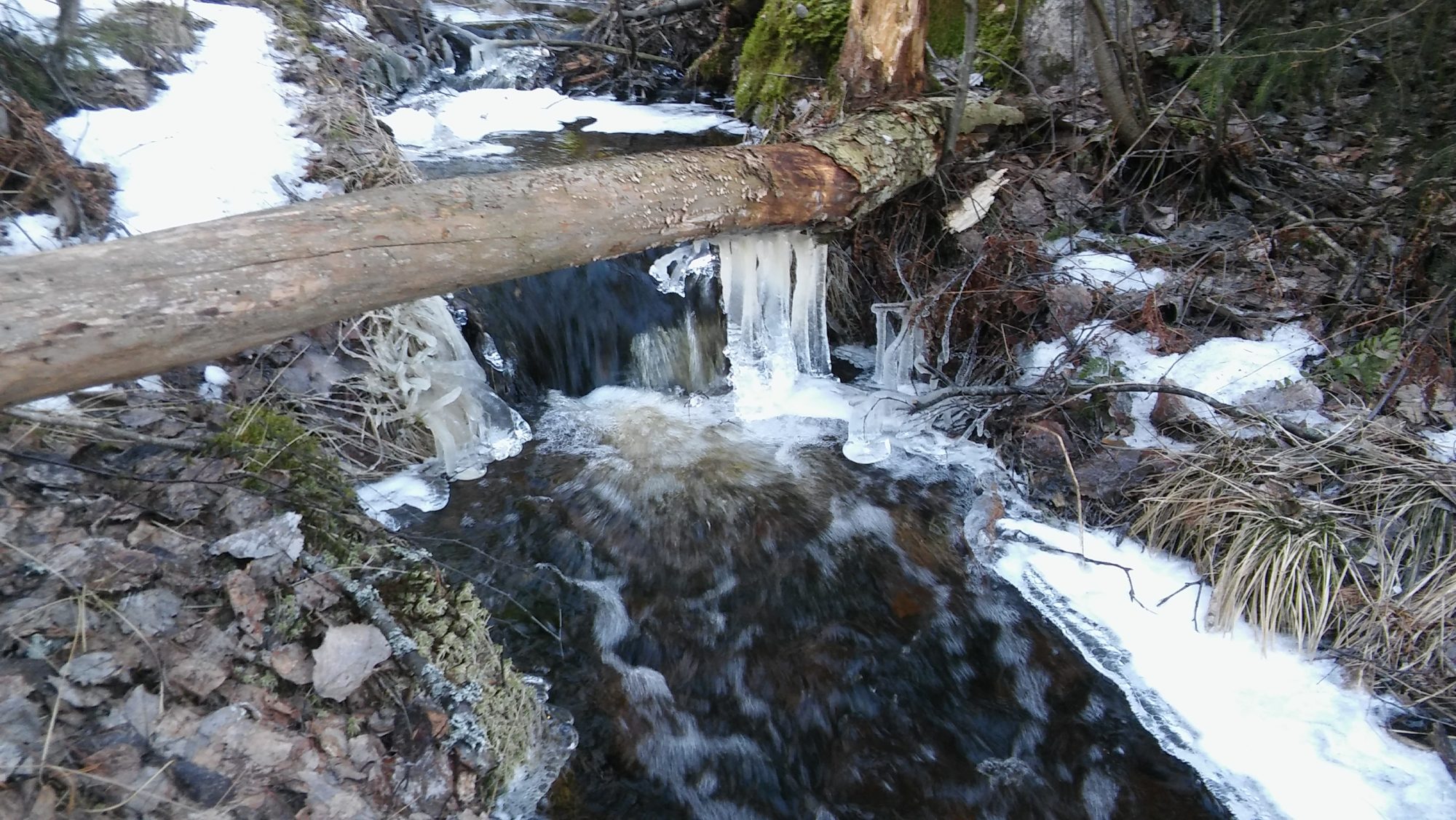 Valokuvaaja: Esa-Matti Ristola