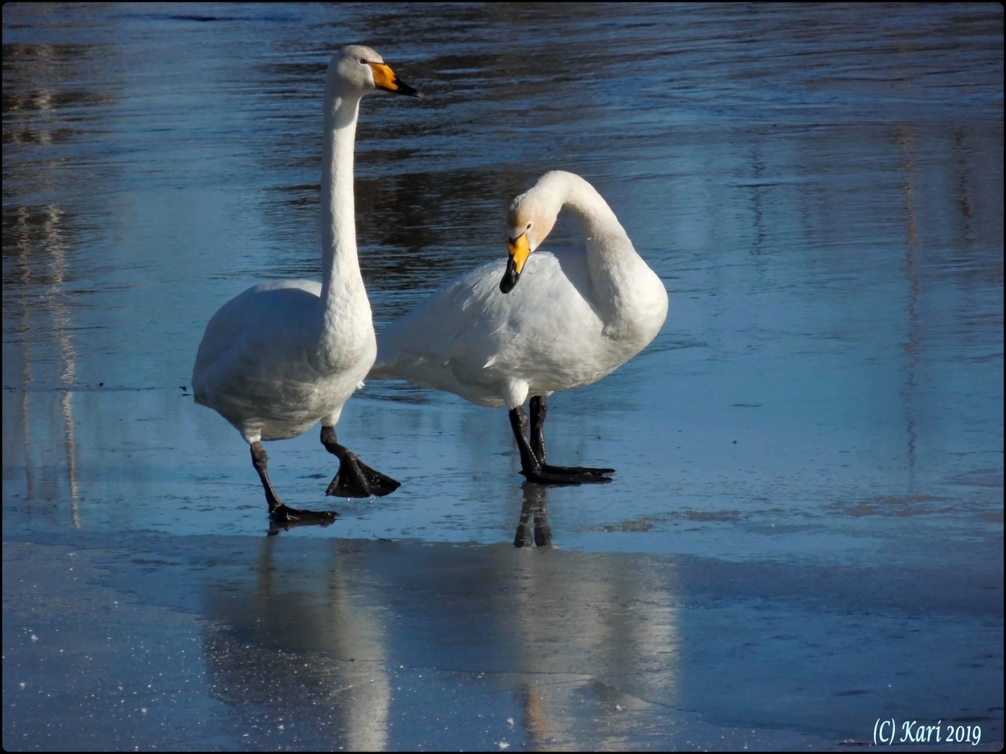 Valokuvaaja: Kari Saarinen