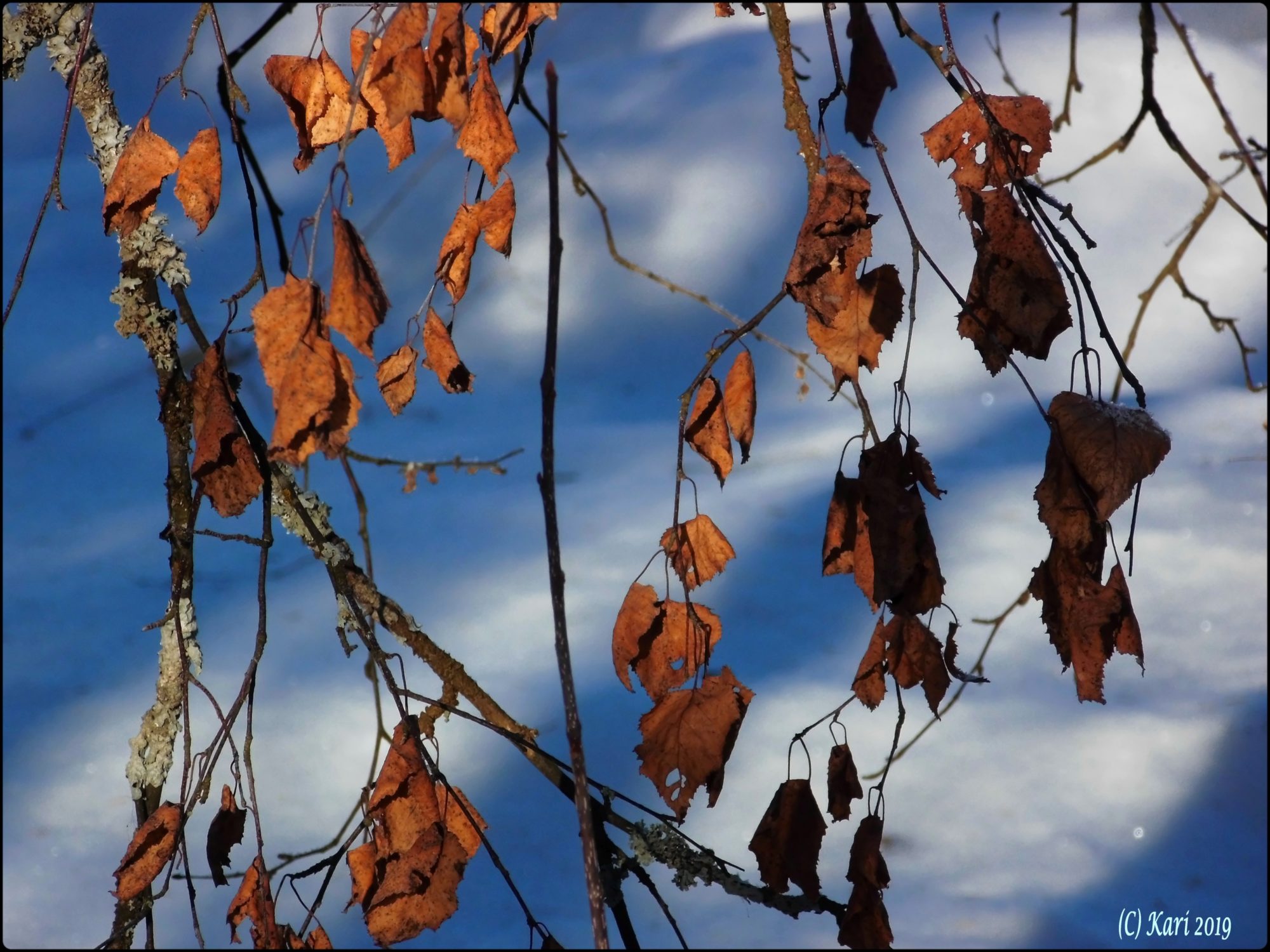 Valokuvaaja: Kari Saarinen