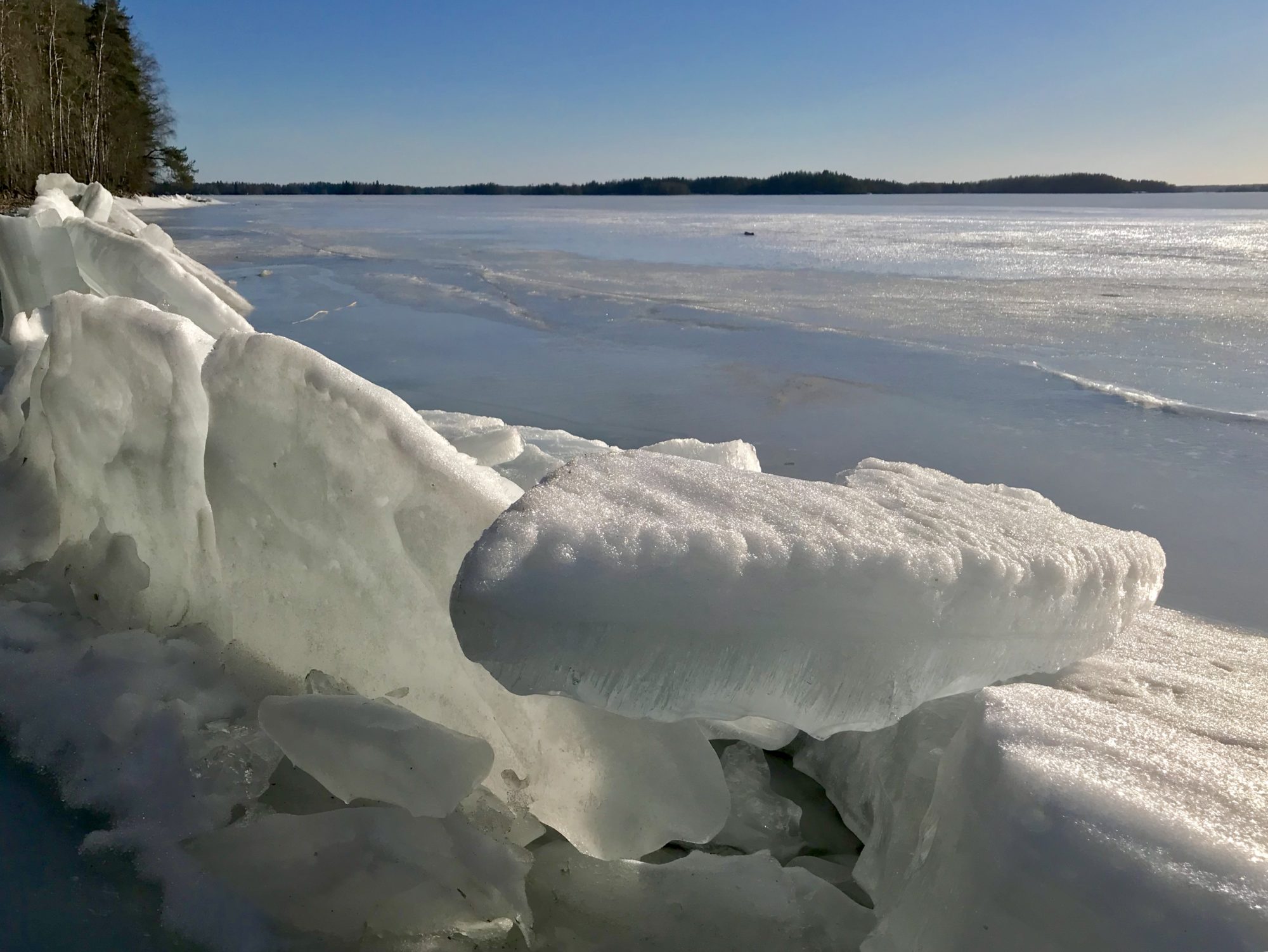 Valokuvaaja: Anne Patana