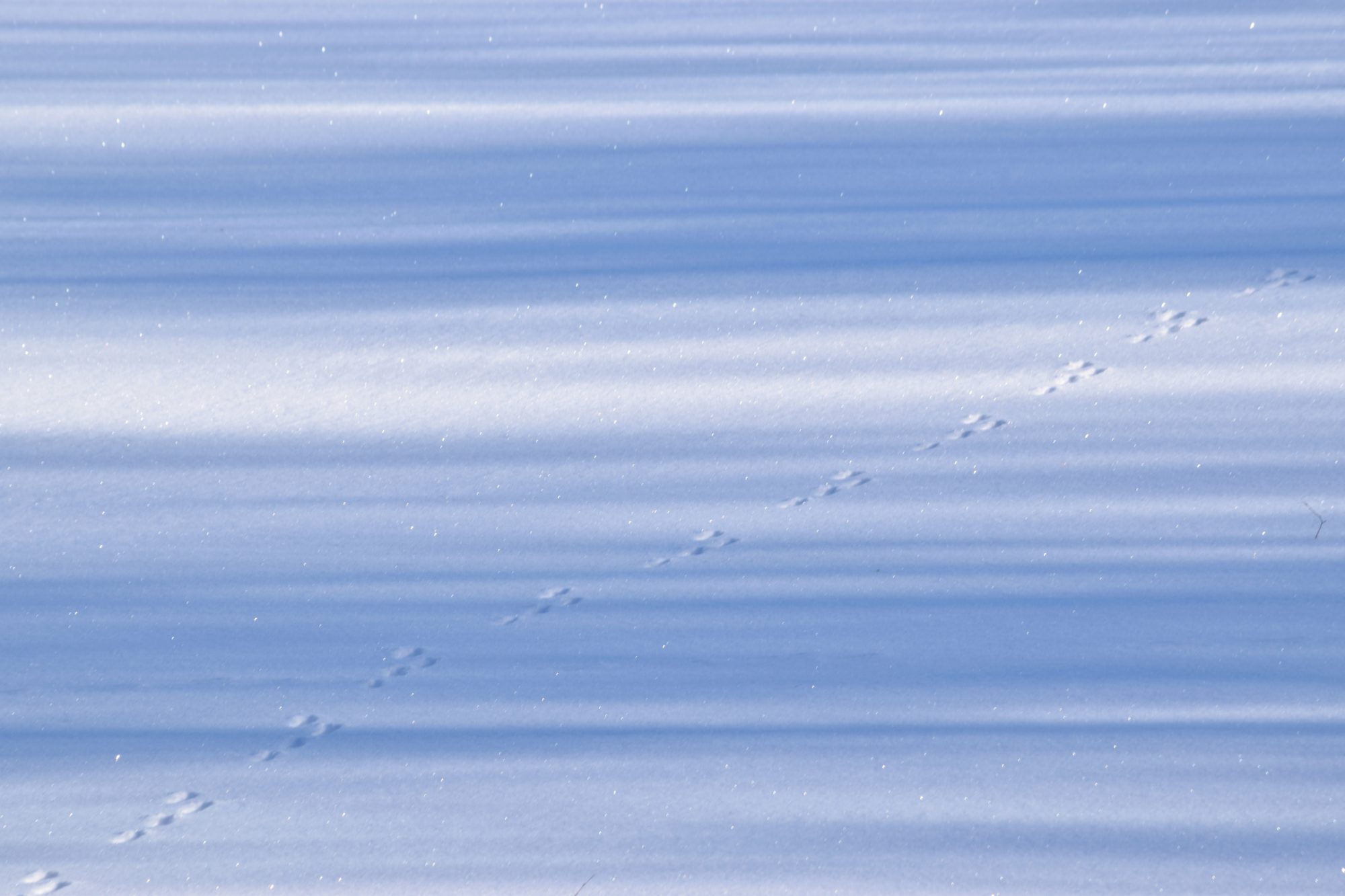 Valokuvaaja: Leena Rissanen