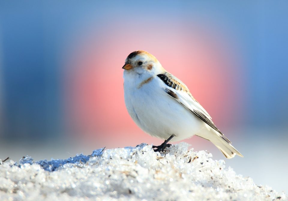 Valokuvaaja: Minna Kaan