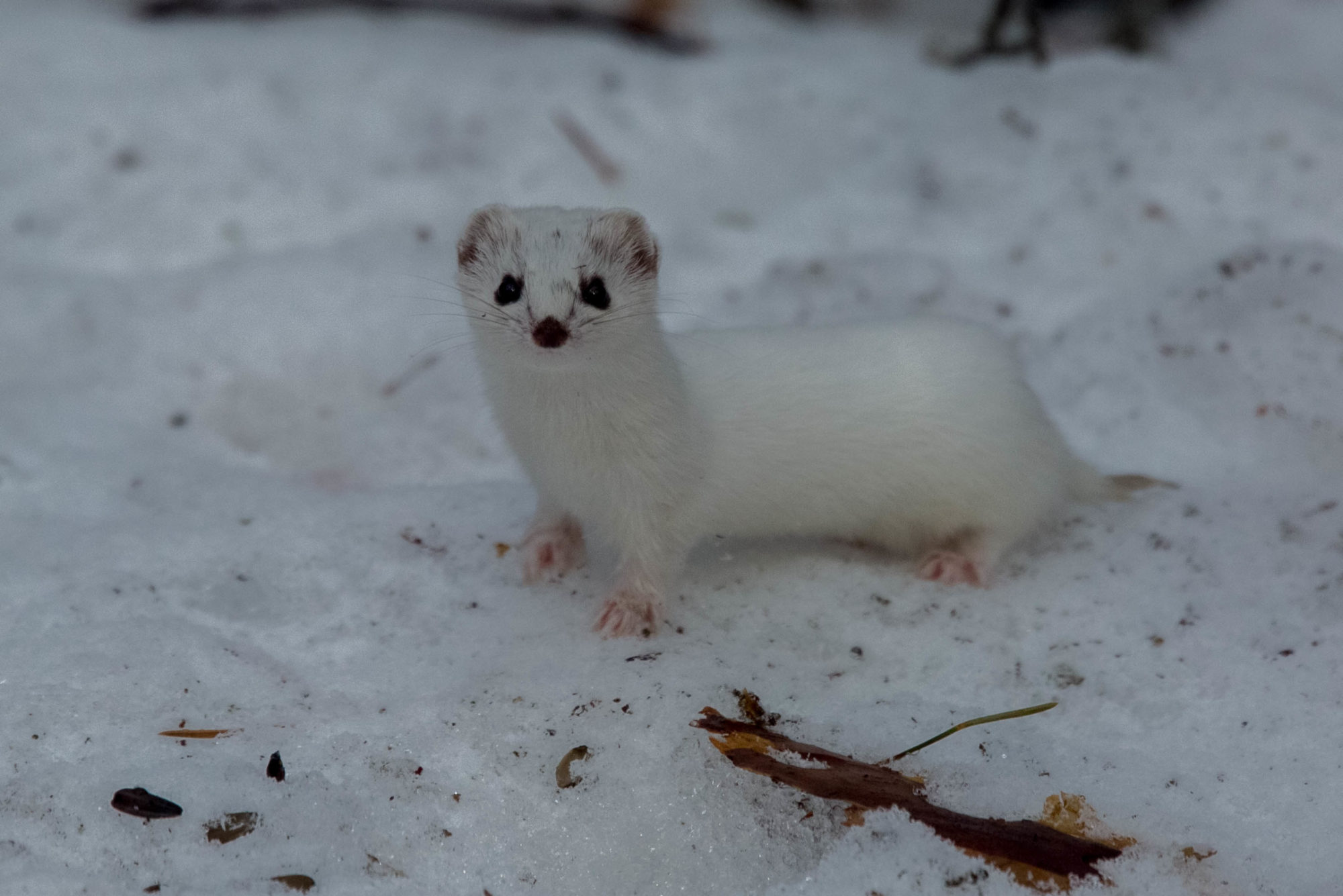 Valokuvaaja: Markku Salonen