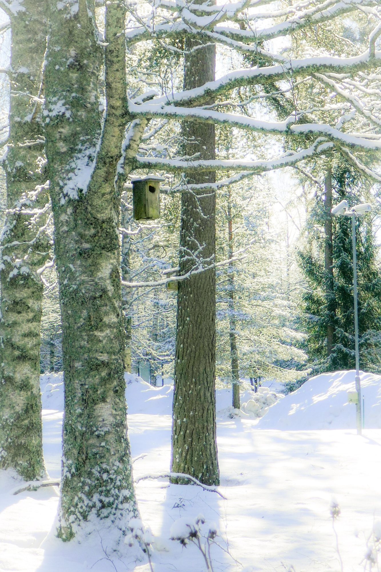 Valokuvaaja: Anne Patana