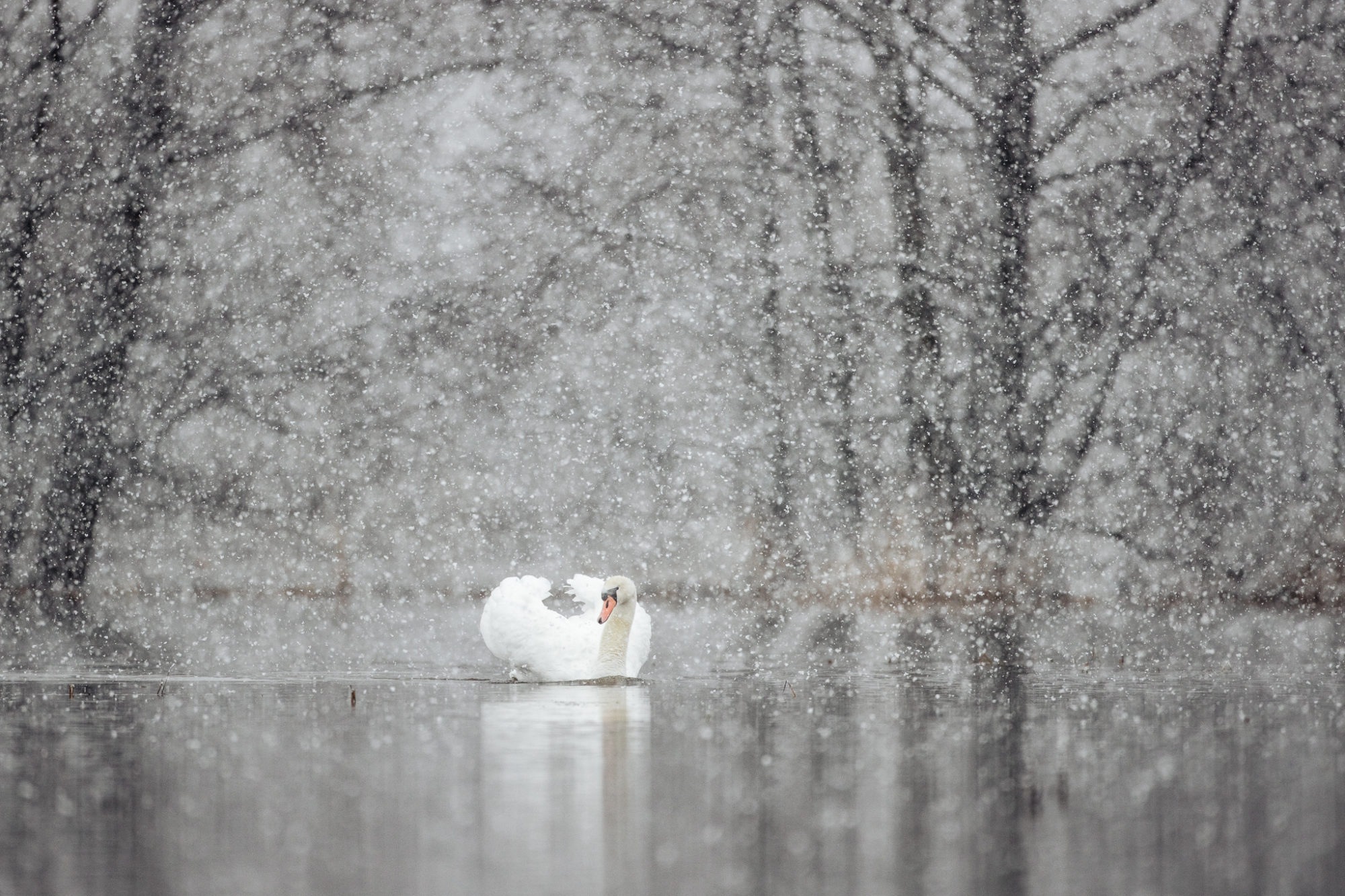 Valokuvaaja: Satu Mali