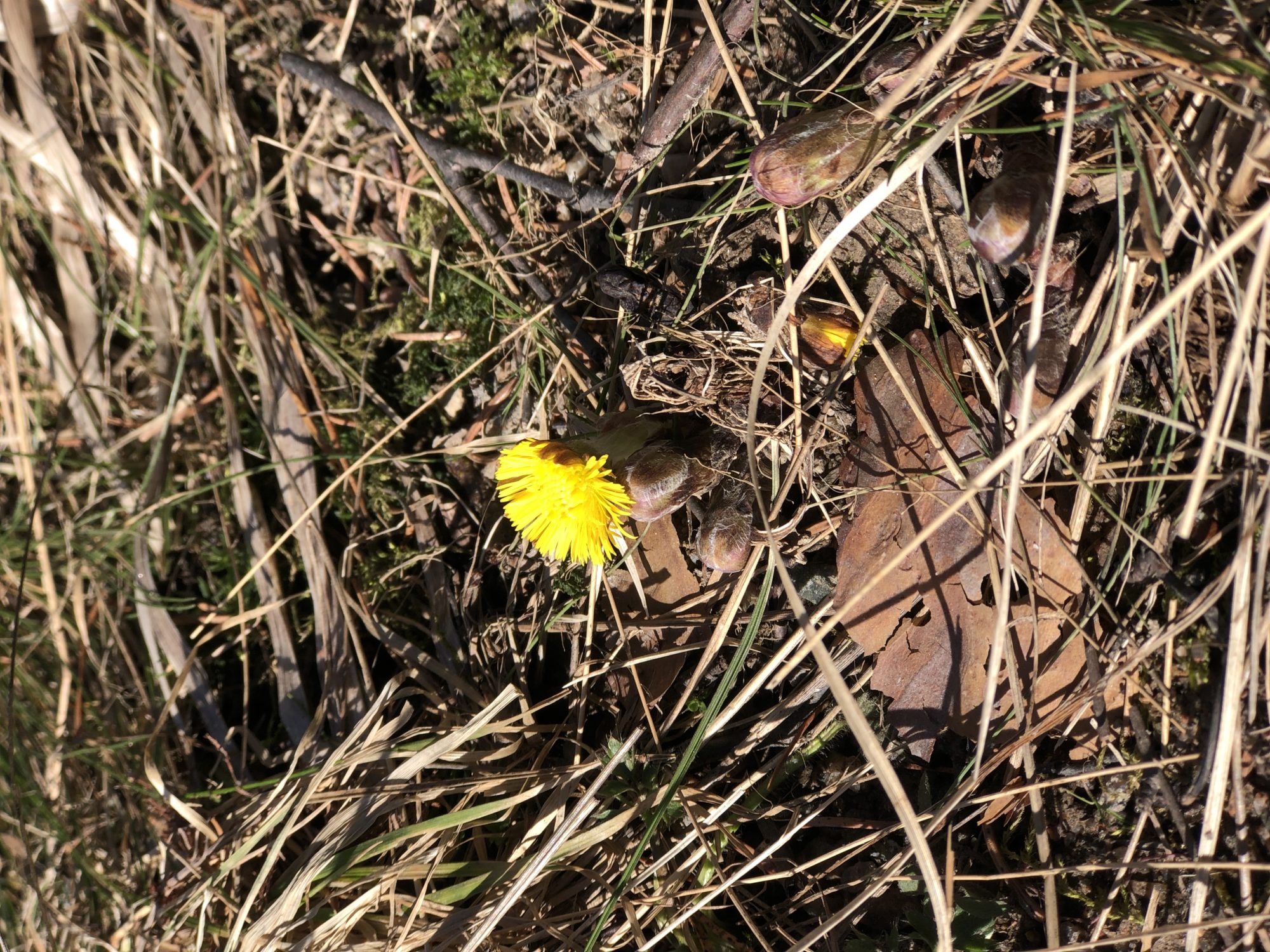 Valokuvaaja: Mira Ahola