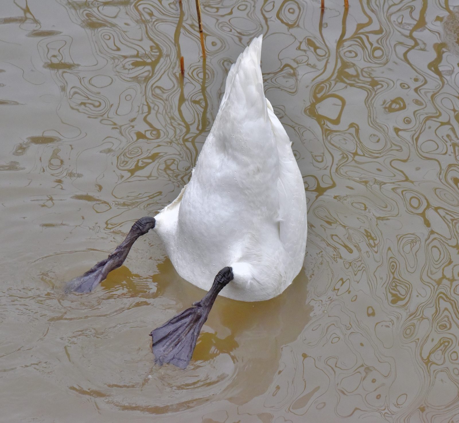 Valokuvaaja: Reijo Juurinen