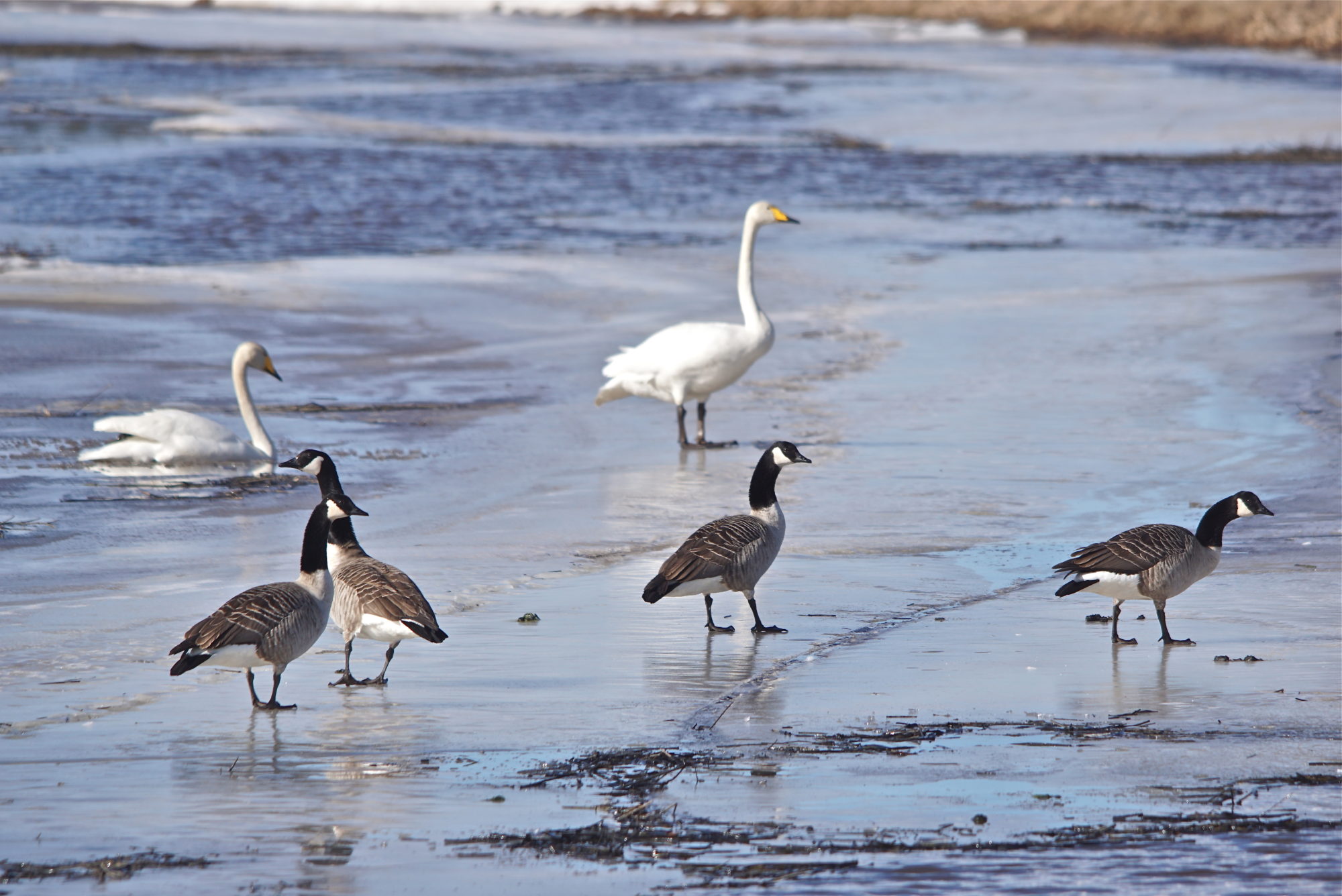 Valokuvaaja: Markku Ranta-Eilola